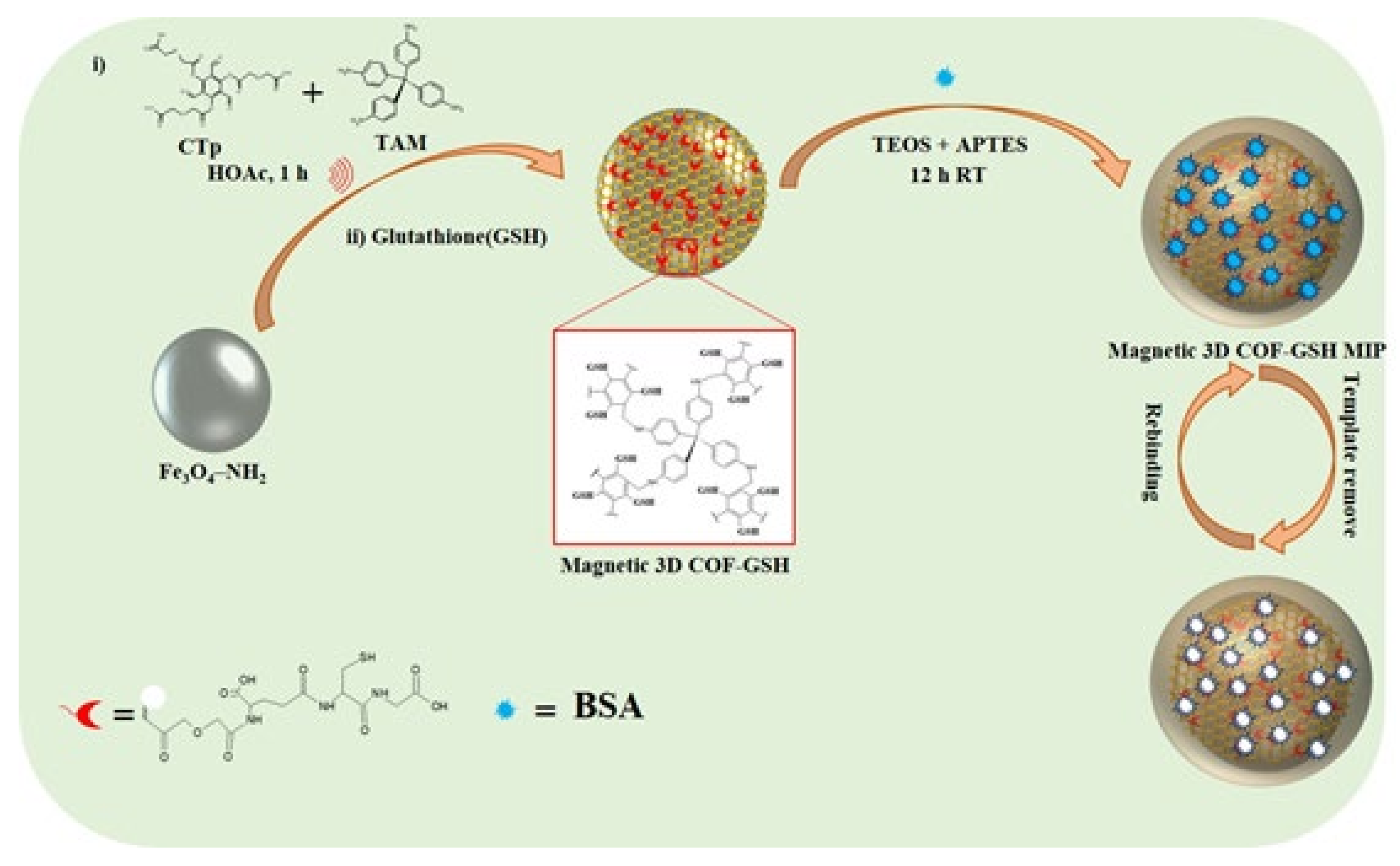 Nanomaterials 12 00411 sch001