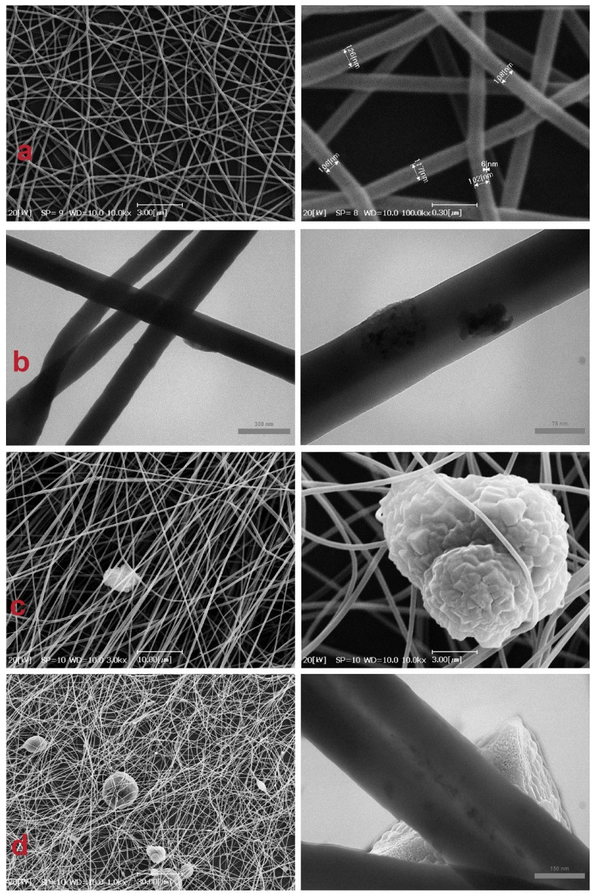 Nanomaterials 12 00412 g006