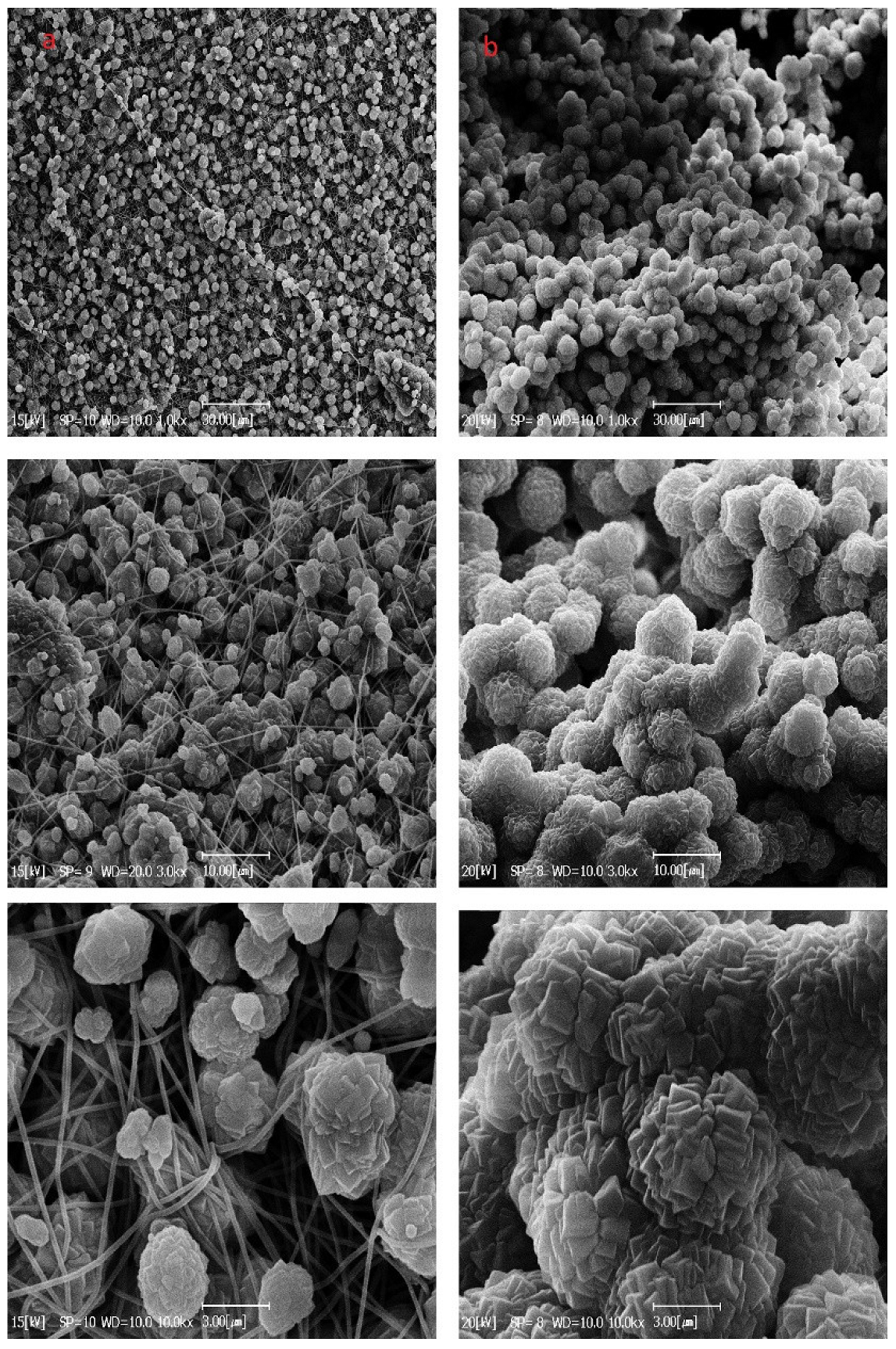 Nanomaterials 12 00412 g010