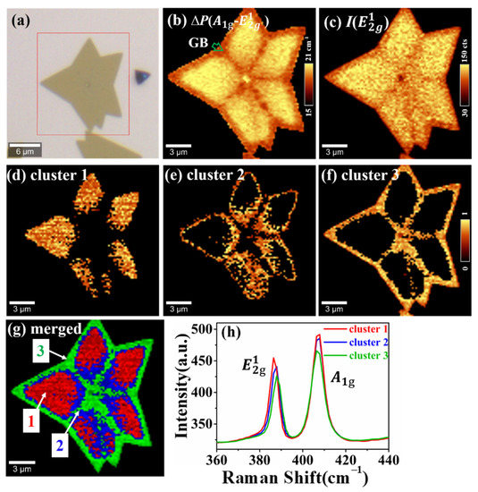 Tmd Raman Rotation Direct Detection of Inhomogeneity in CVD-Grown 2D TMD Materials via K ...