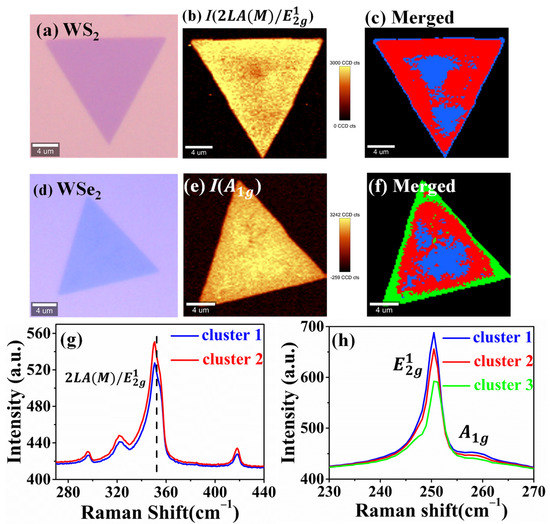 Tmd Raman Rotation Direct Detection of Inhomogeneity in CVD-Grown 2D TMD Materials via K ...