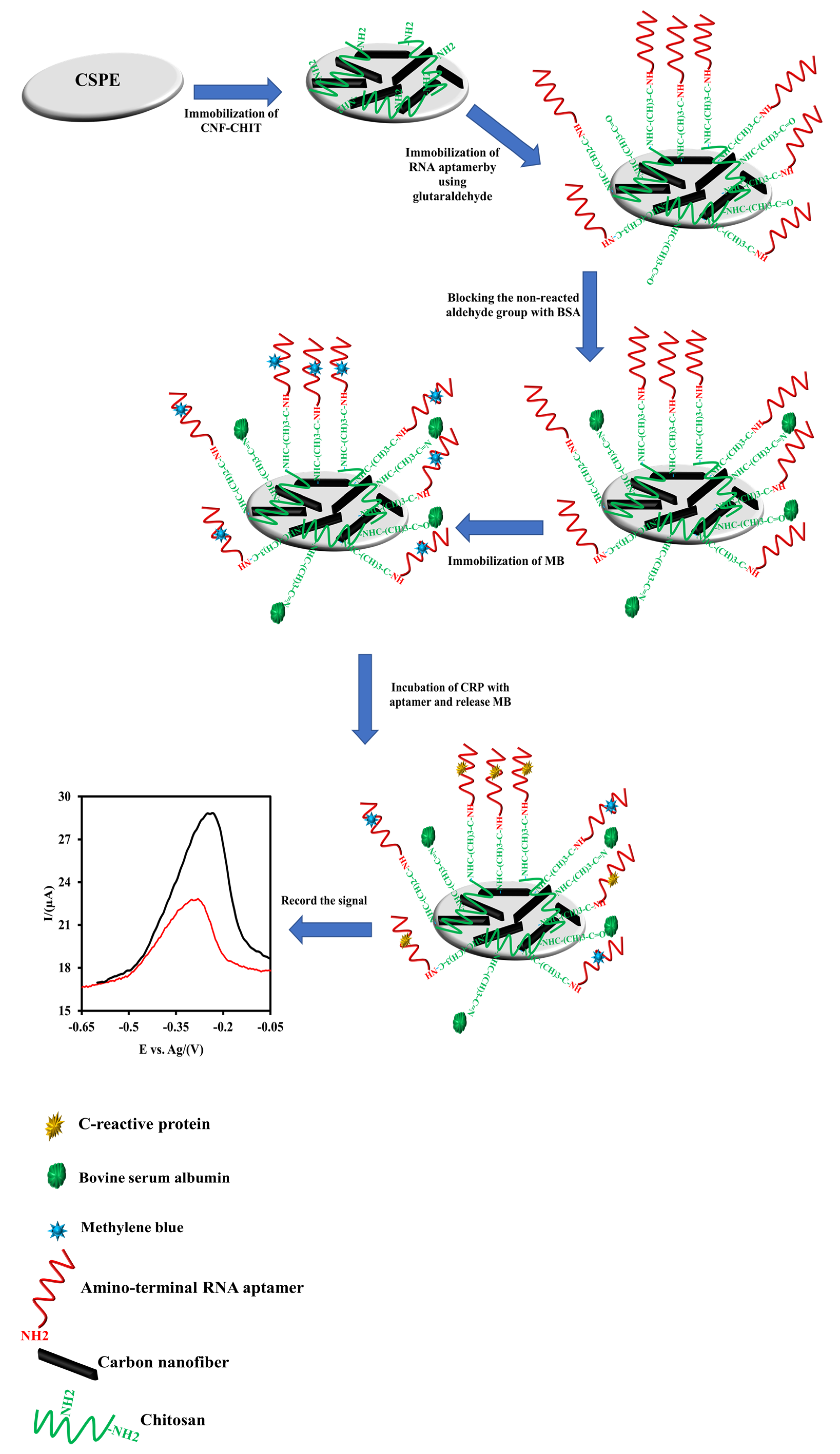 Nanomaterials 12 00415 g001