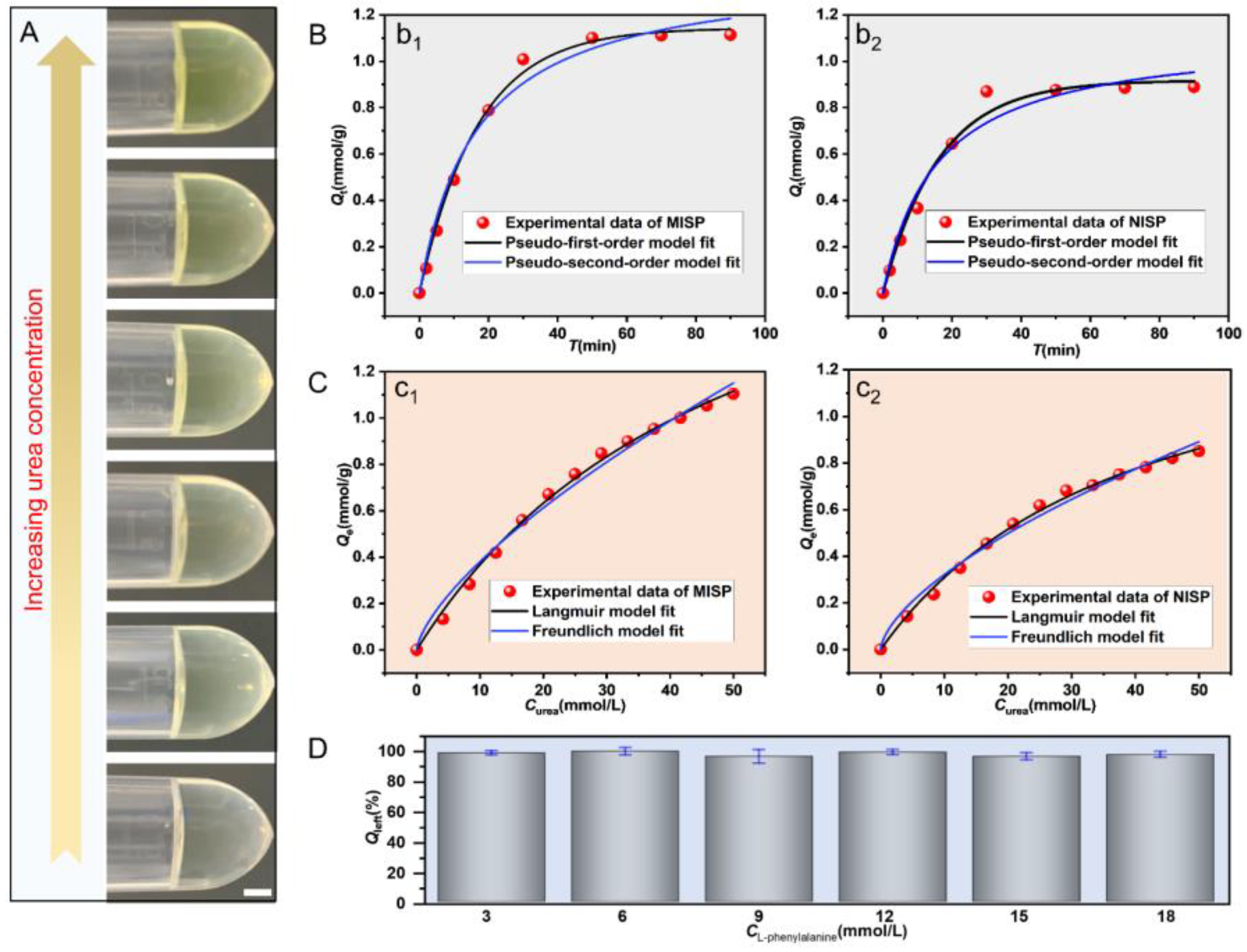 Nanomaterials 12 00418 g005