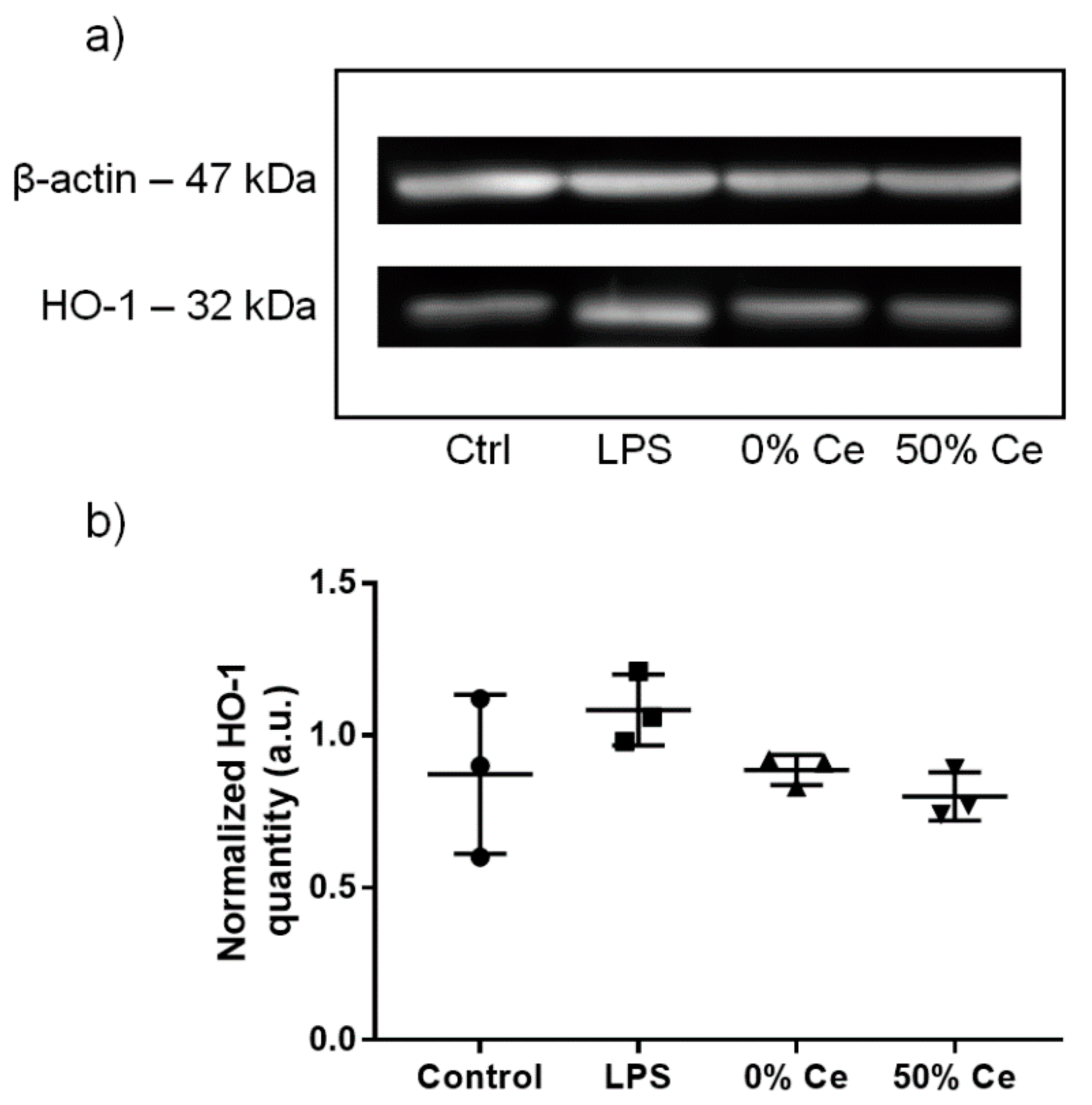 Nanomaterials 12 00422 g007 550