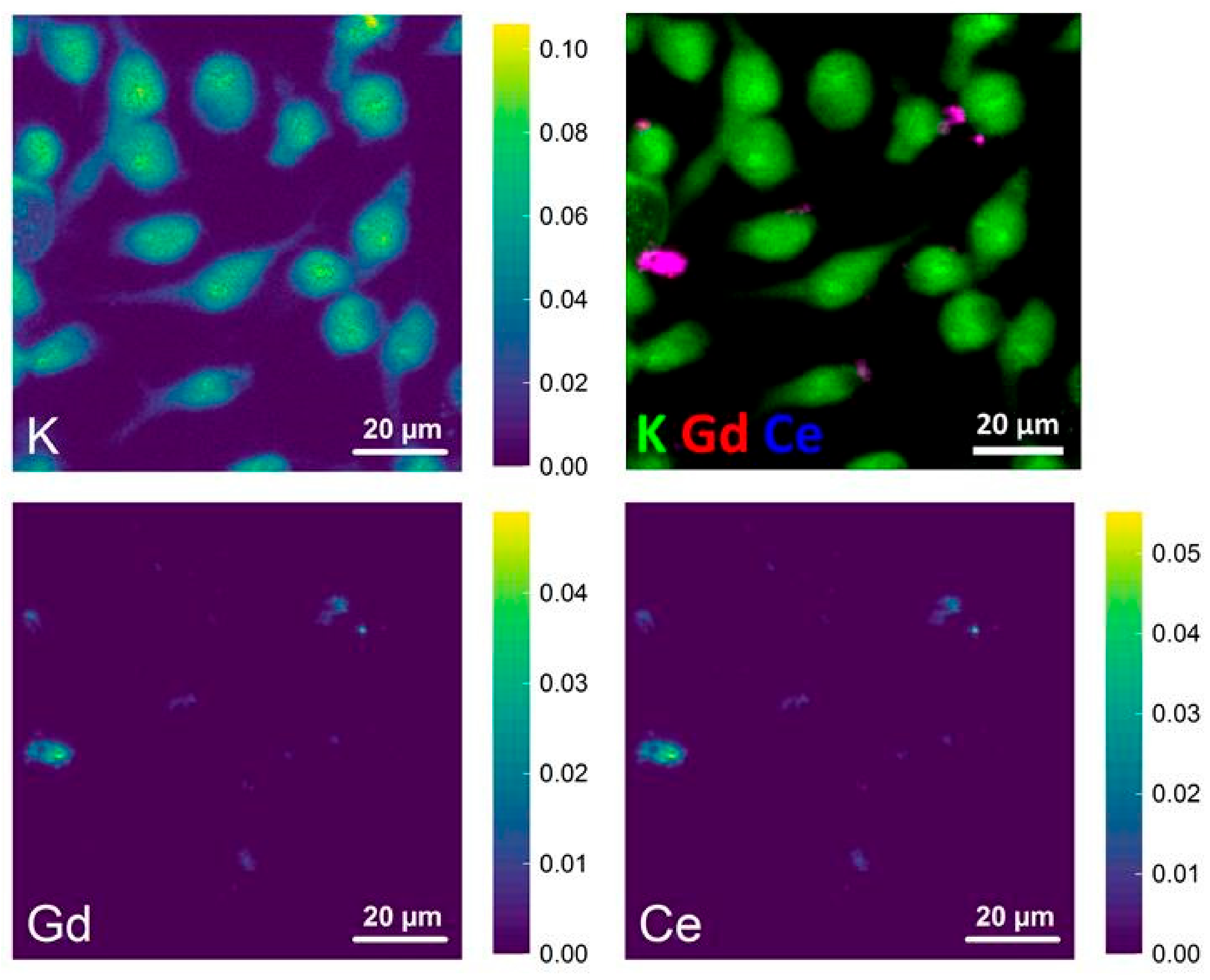 Nanomaterials 12 00422 g009 550