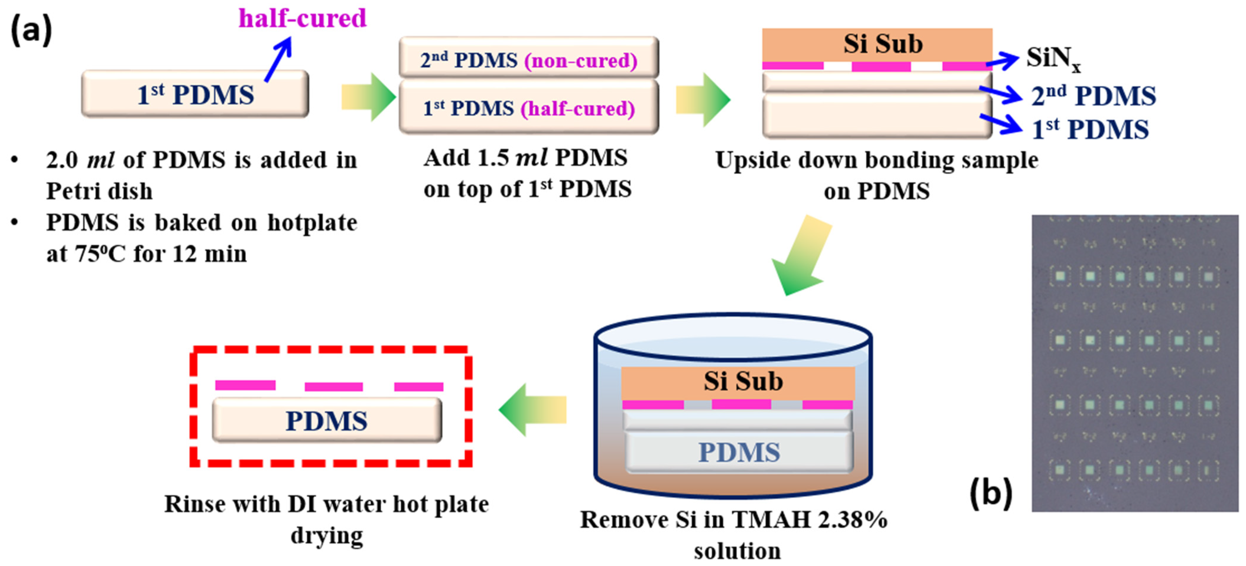 Nanomaterials 12 00425 g002