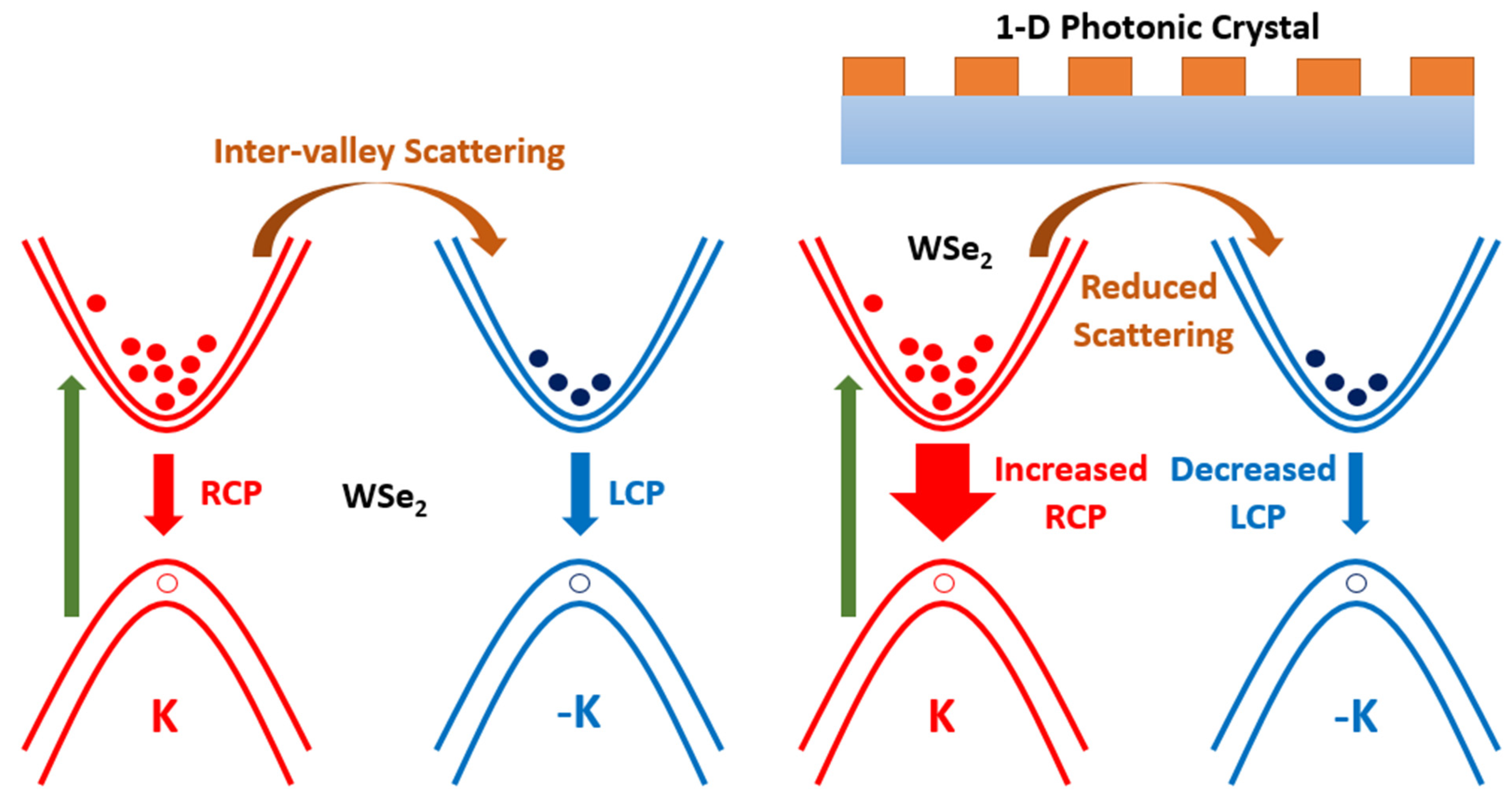 Nanomaterials 12 00425 g008