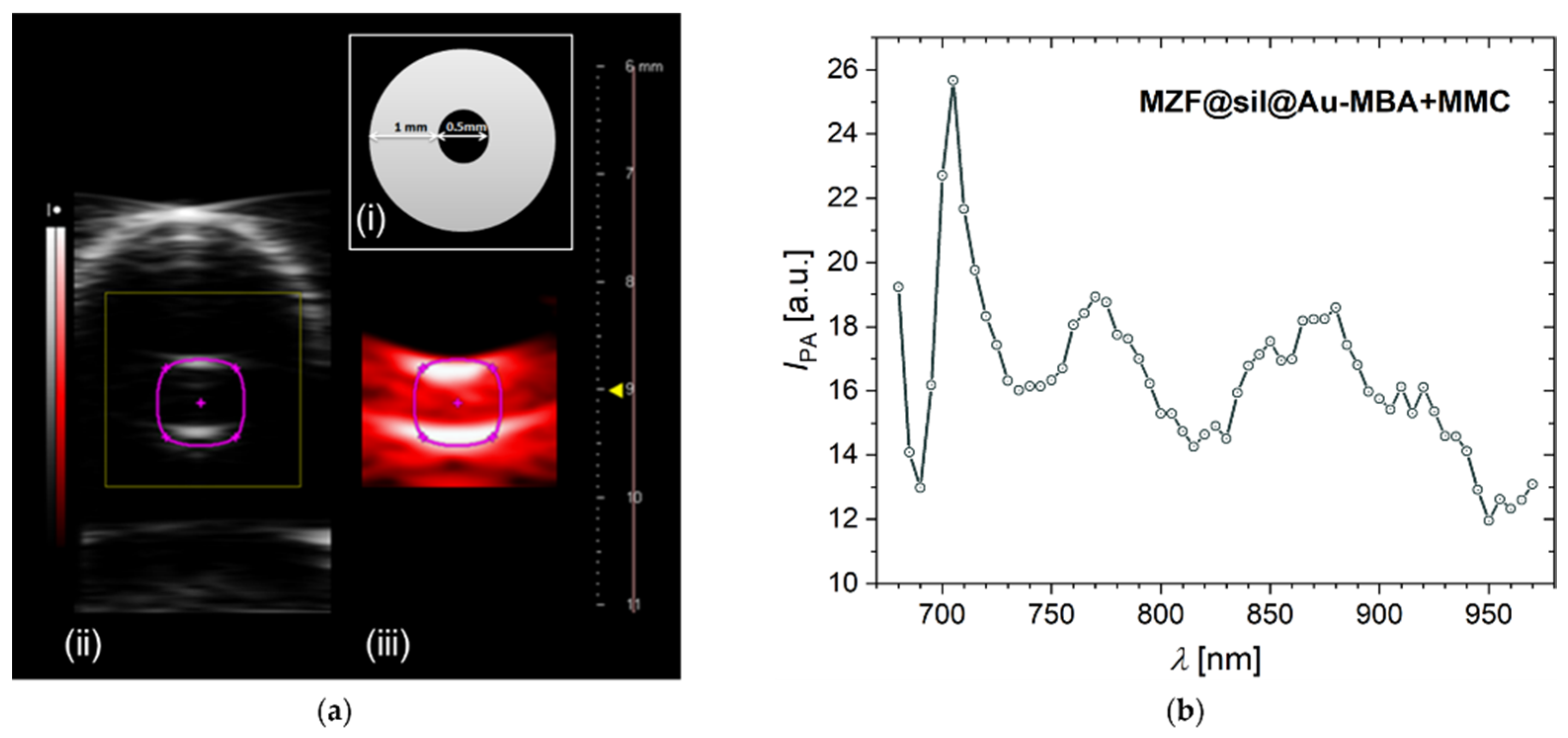 Nanomaterials 12 00428 g011 550