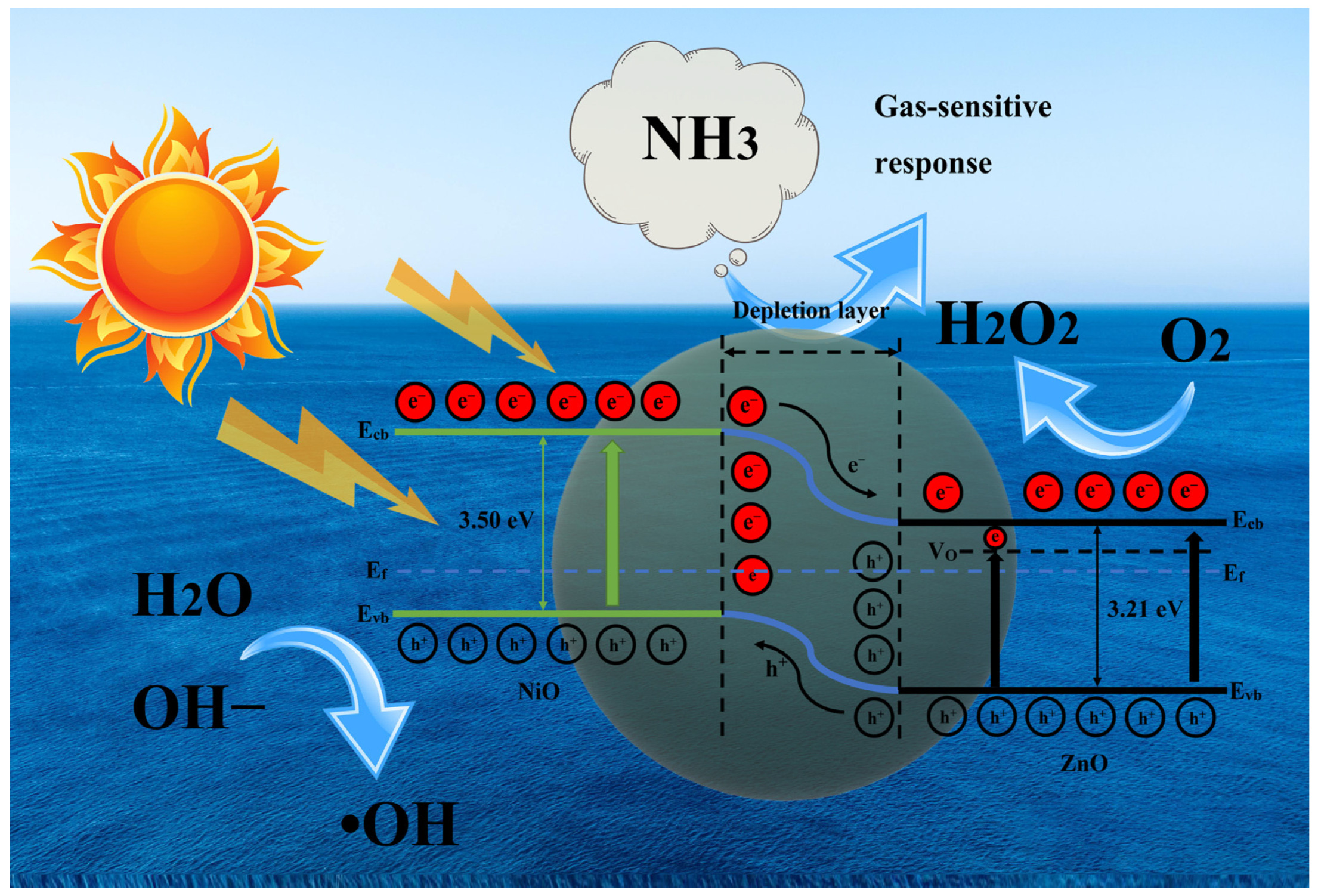 Nanomaterials 12 00433 g014