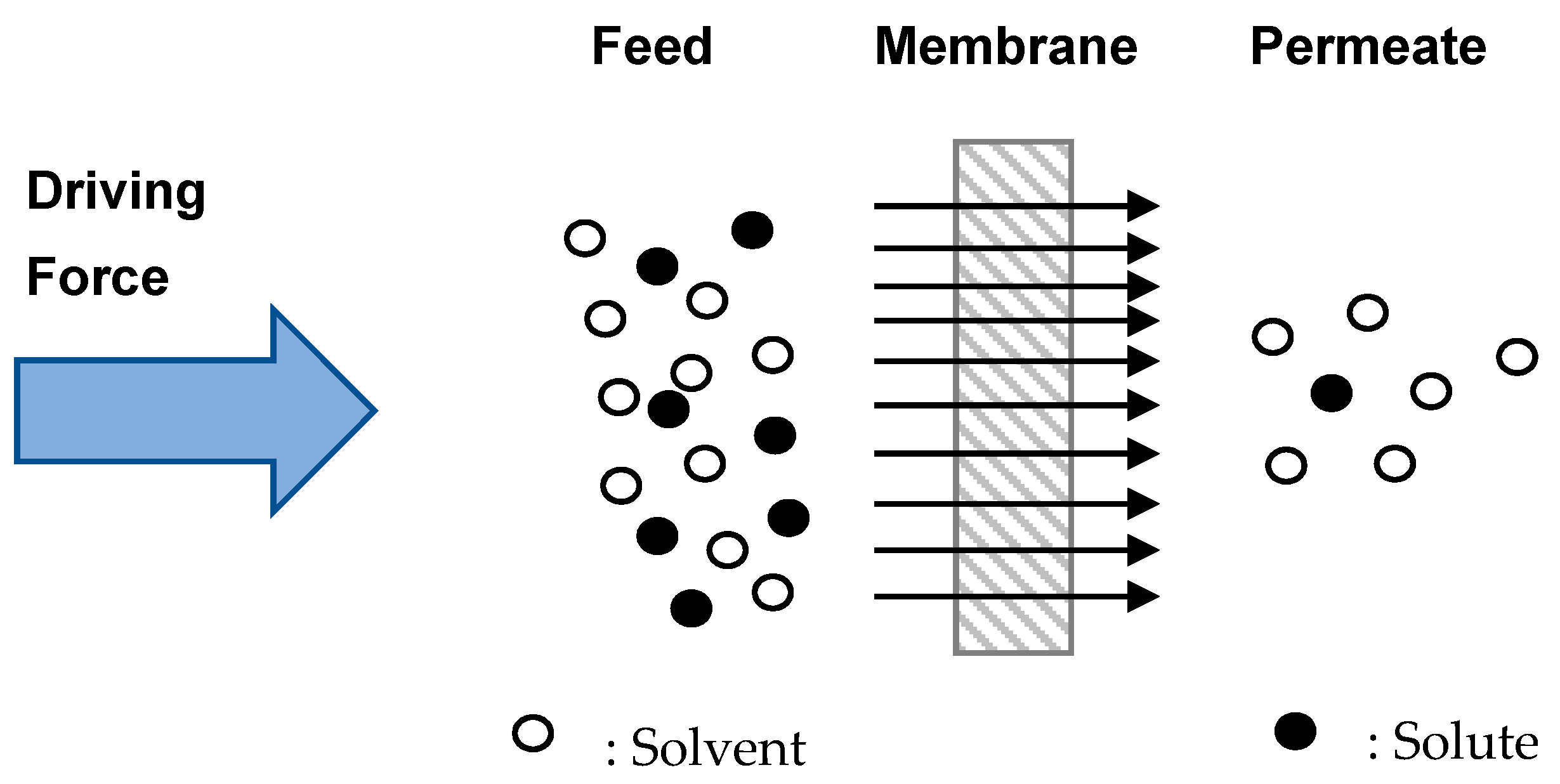 Nanomaterials 12 00437 g002