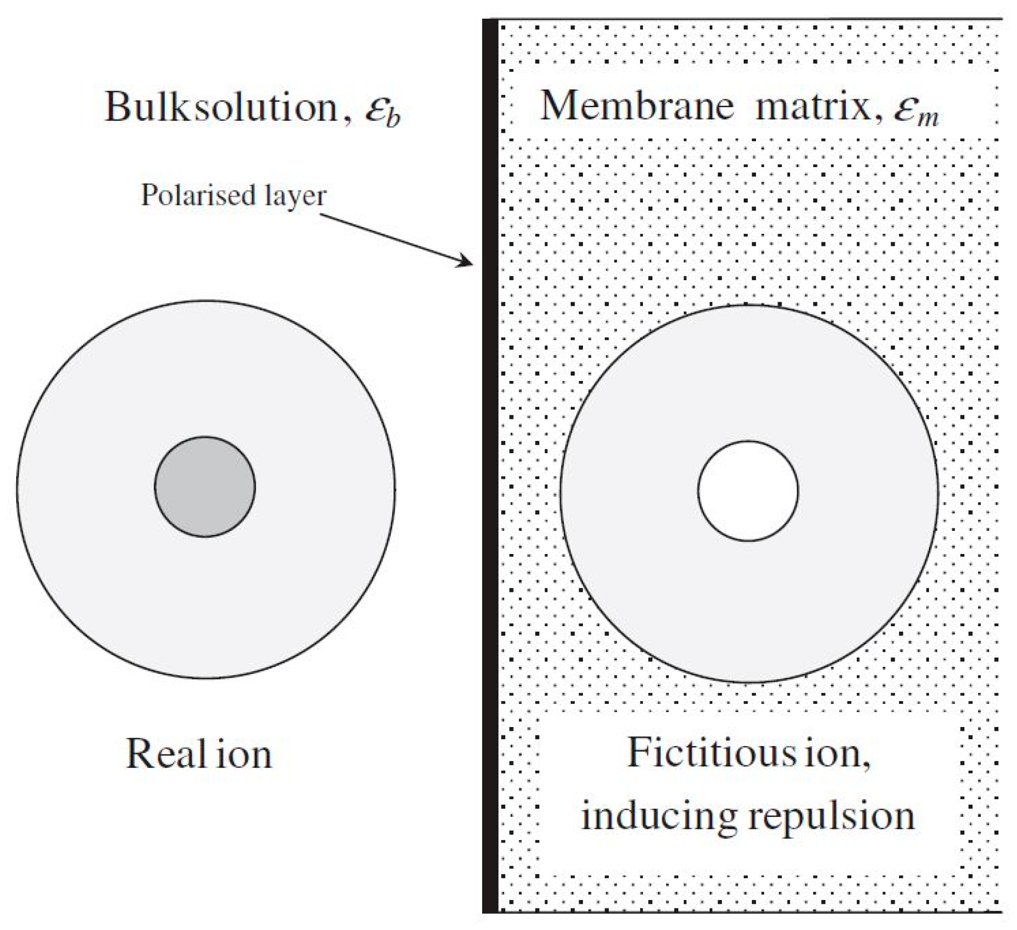 Nanomaterials 12 00437 g008