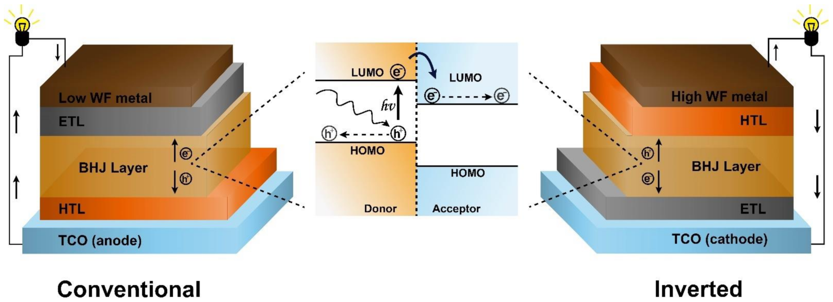 Nanomaterials 12 00443 g001