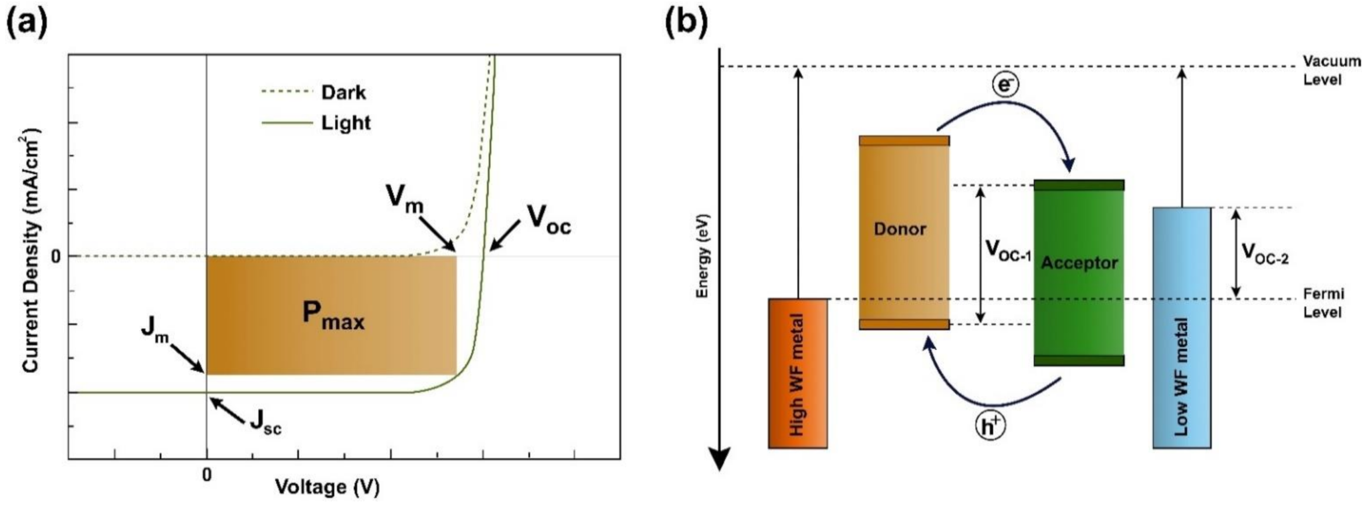 Nanomaterials 12 00443 g002