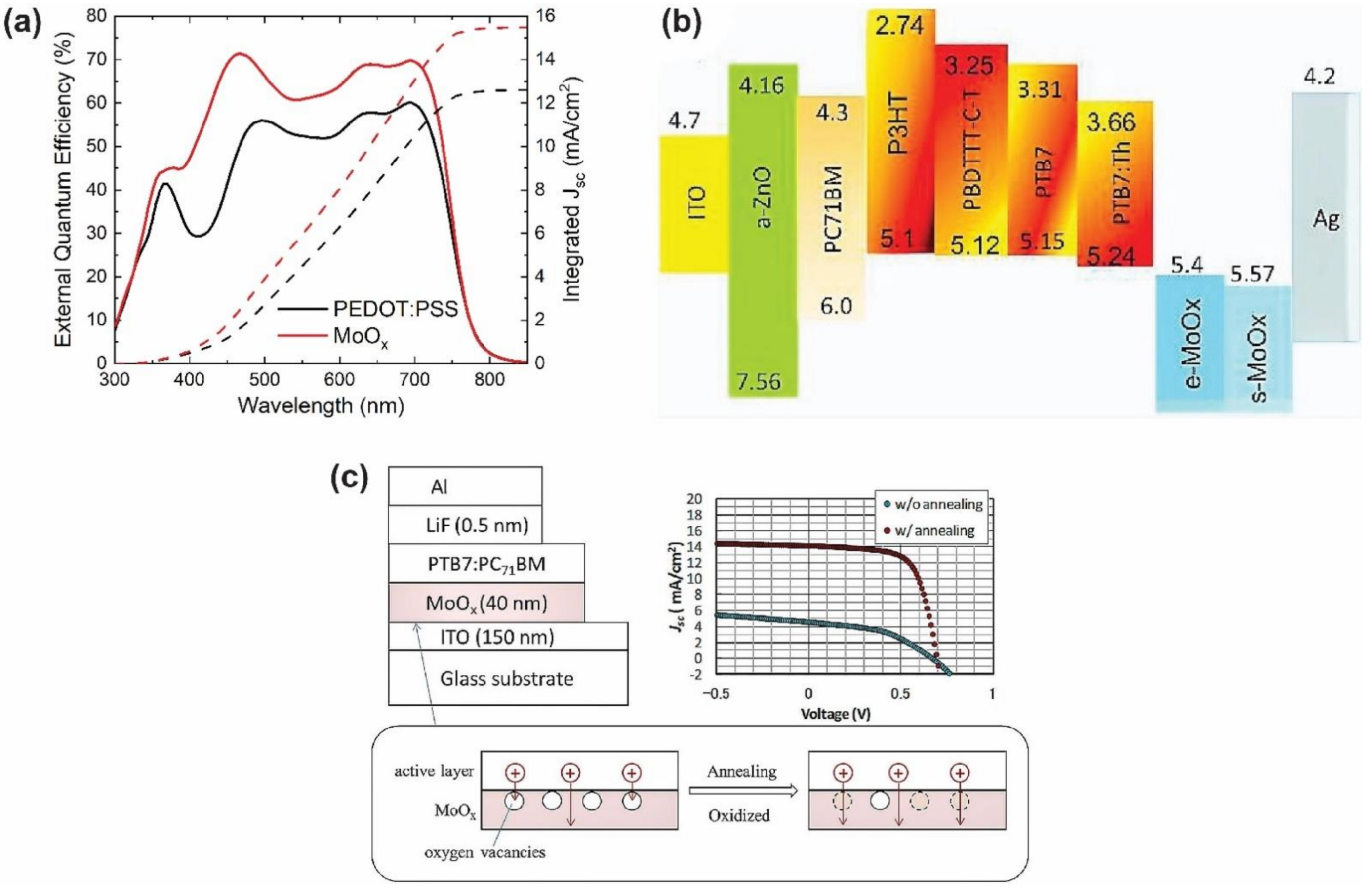 Nanomaterials 12 00443 g003