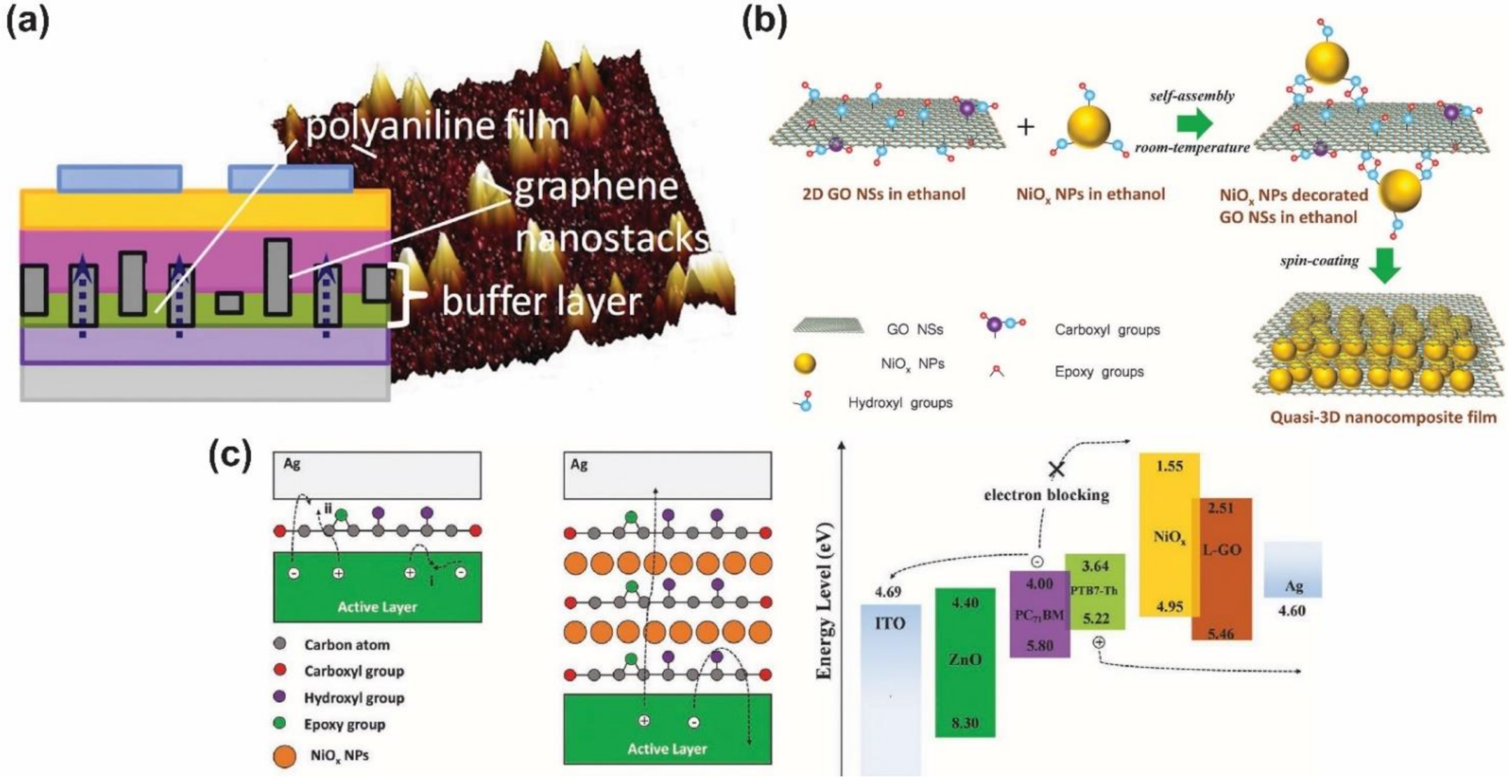 Nanomaterials 12 00443 g012