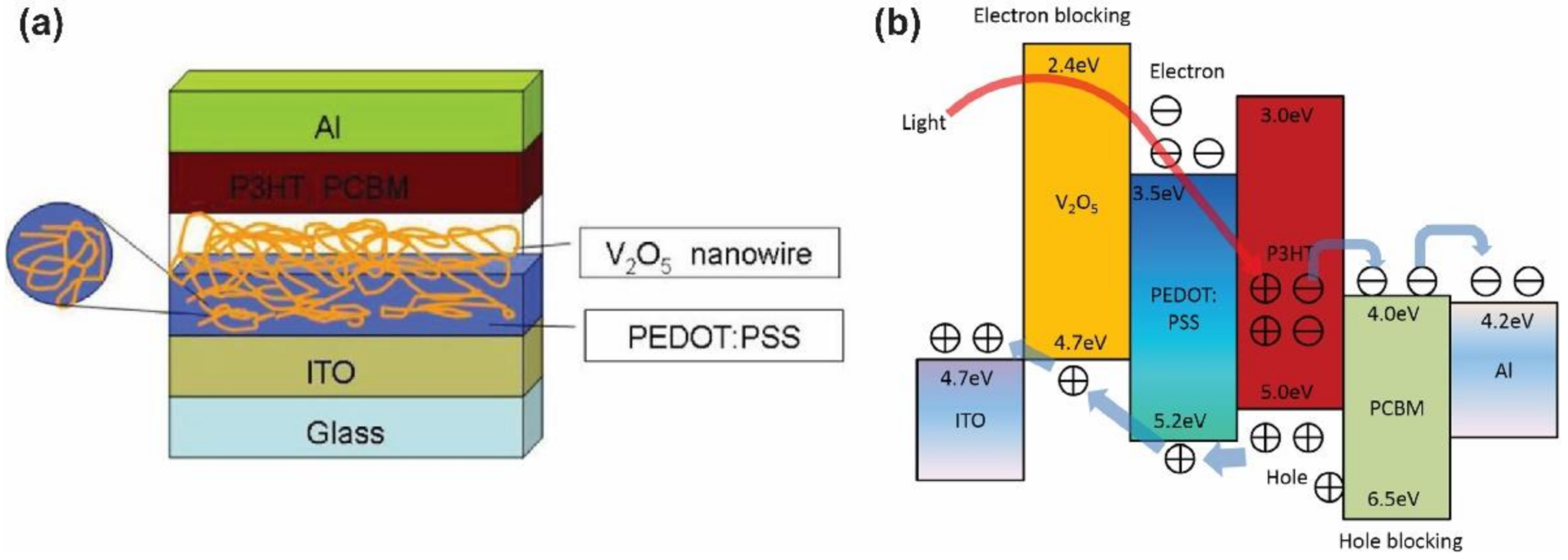 Nanomaterials 12 00443 g016