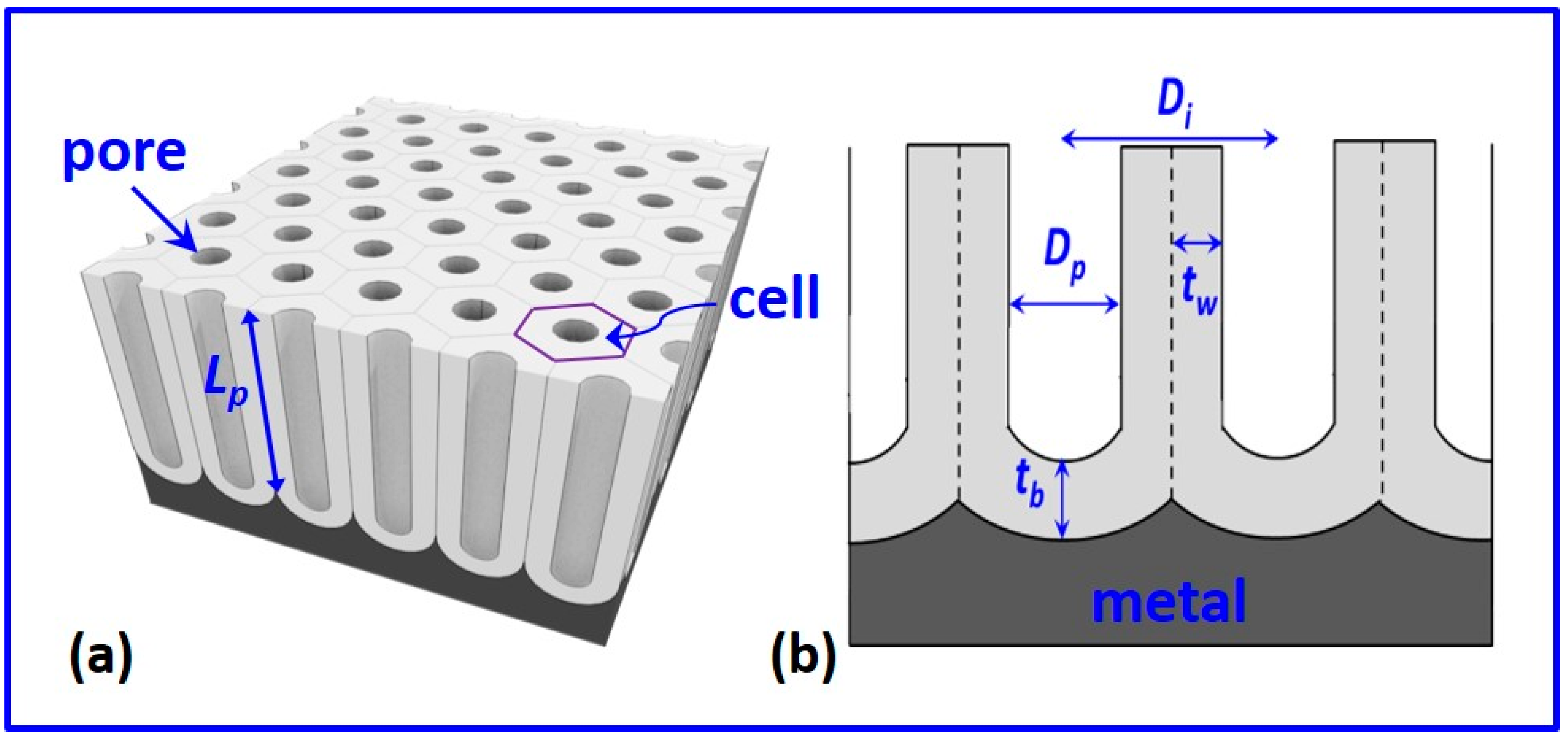 Nanomaterials 12 00444 g002 Nanomaterials 12 00444 g002