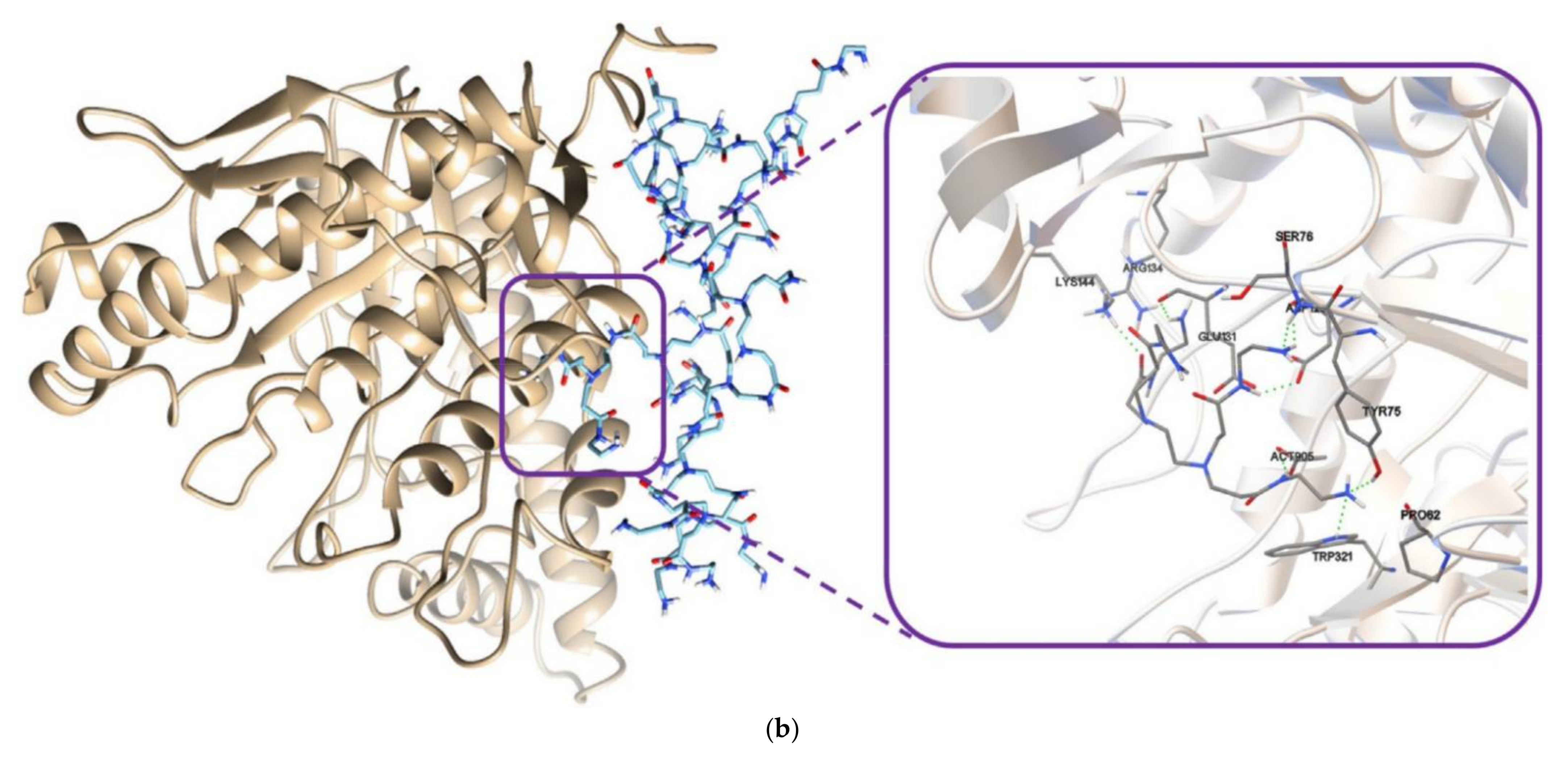 Nanomaterials 12 00445 g022b Nanomaterials 12 00445 g022b