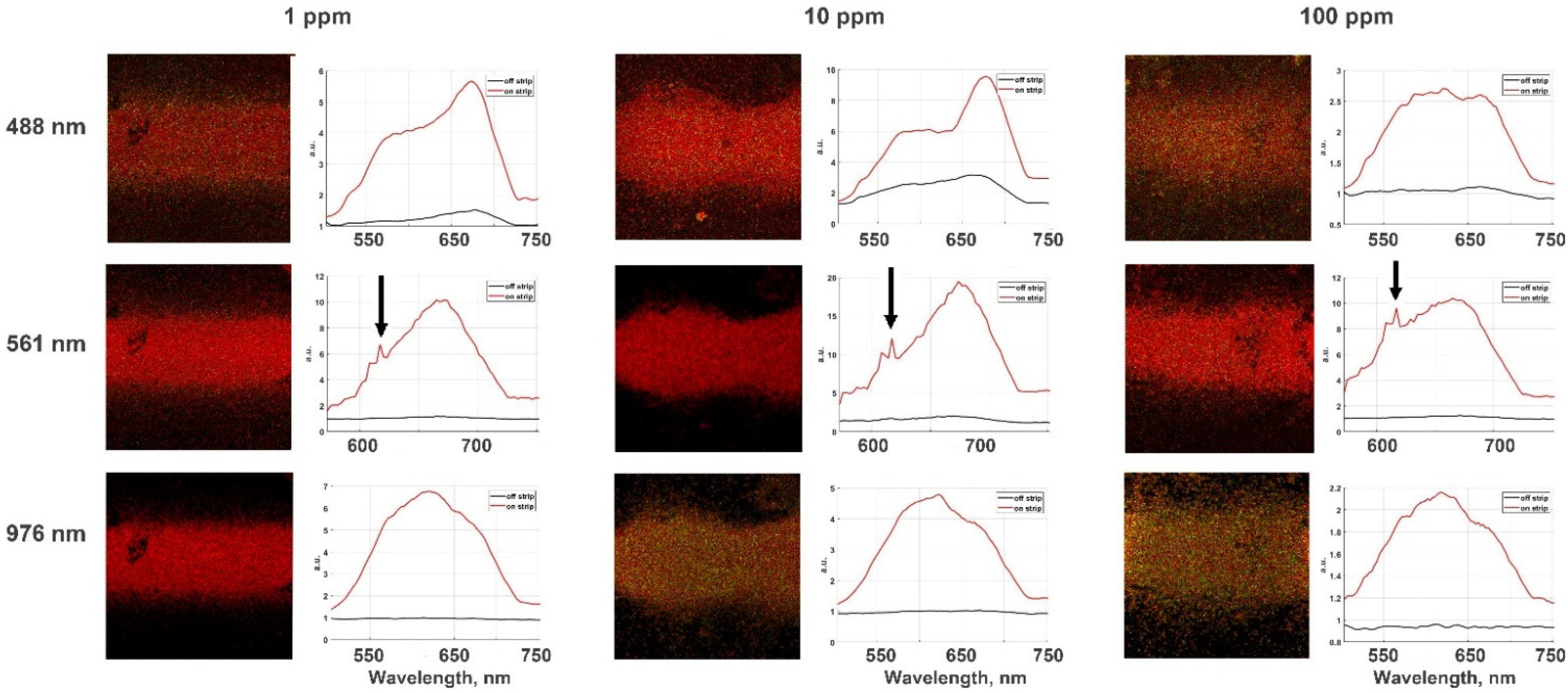 Nanomaterials 12 00448 g007