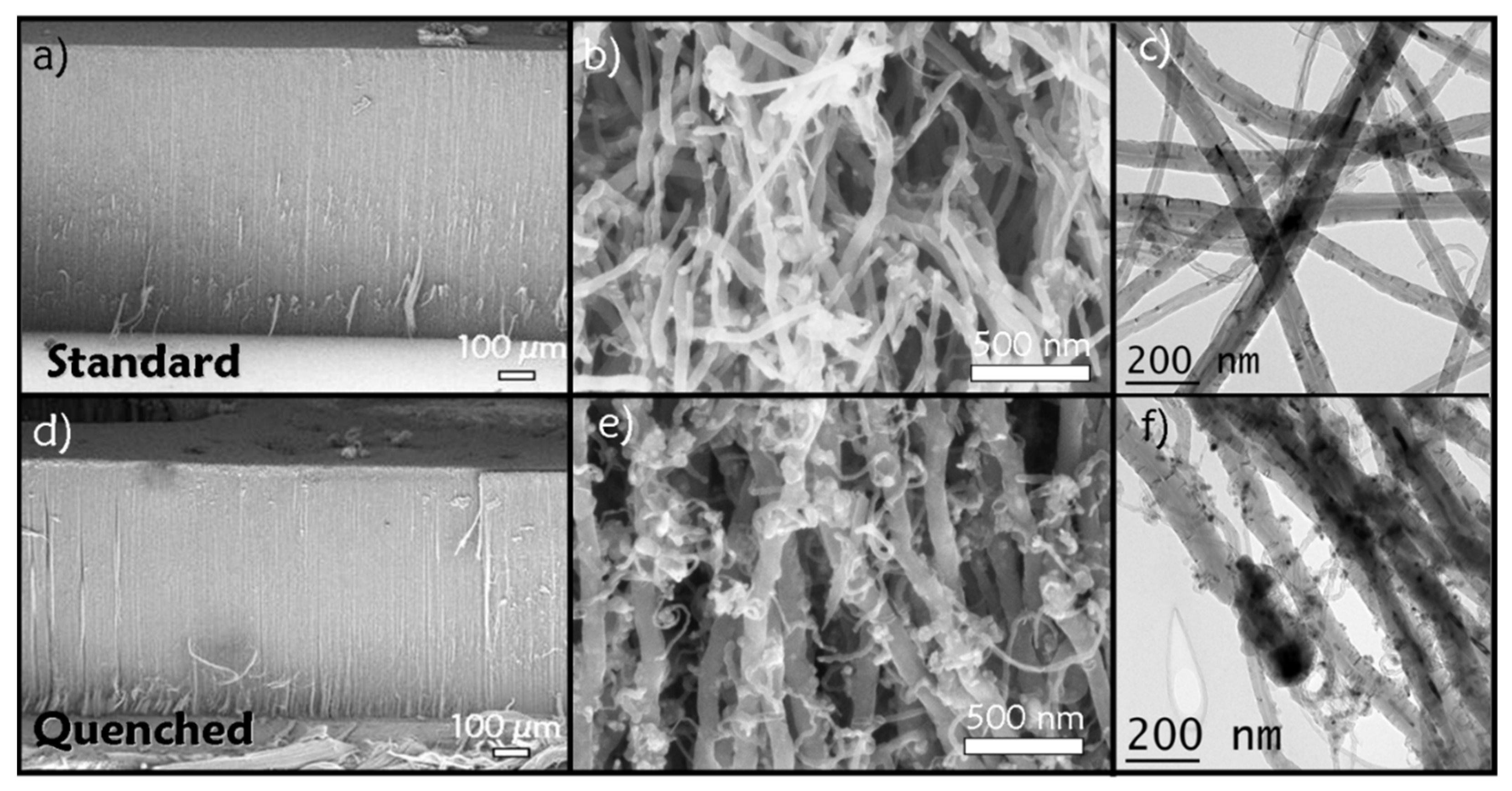 Nanomaterials 12 00449 g002