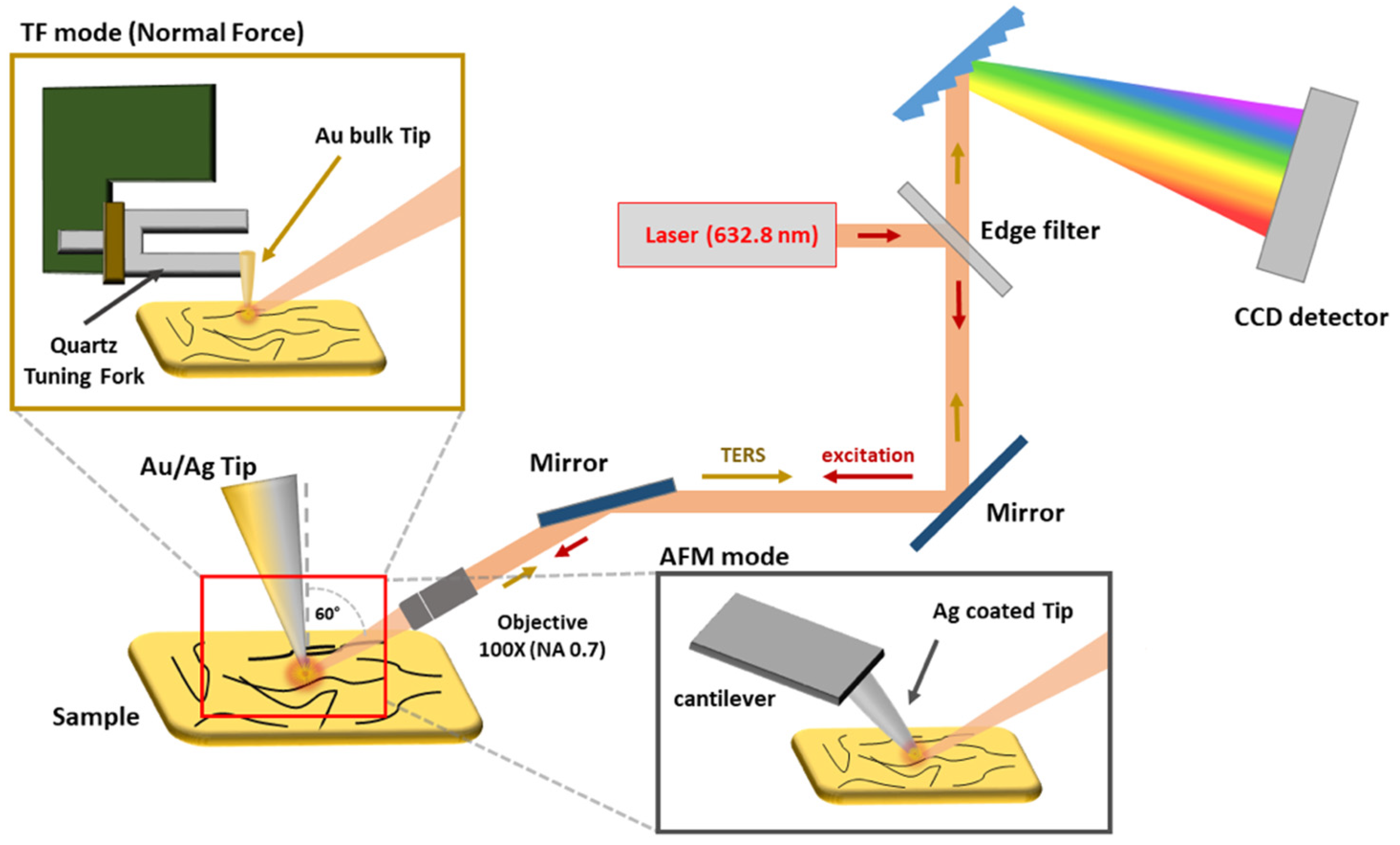Nanomaterials 12 00451 g001