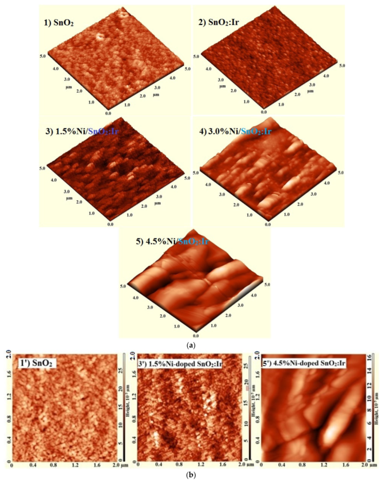 Nanomaterials 12 00453 g002