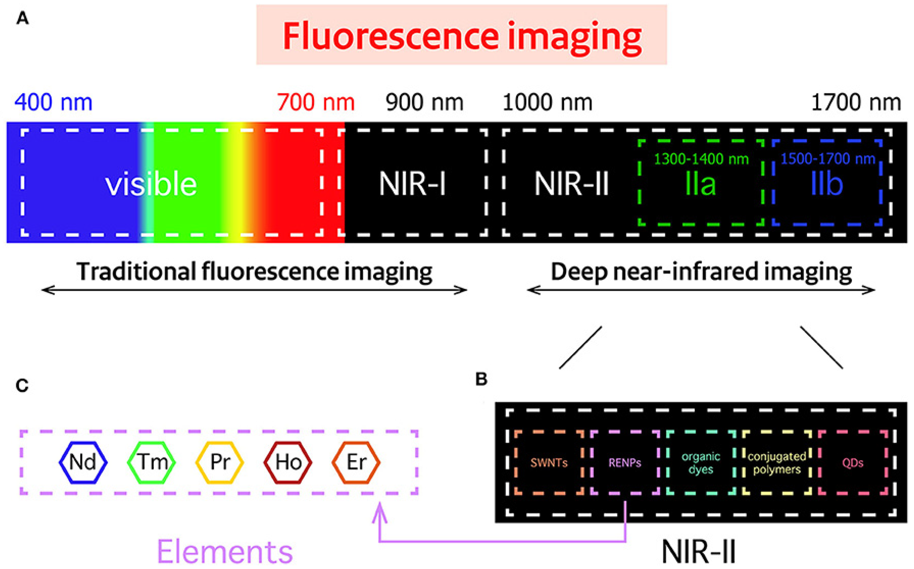Nanomaterials 12 00457 g003