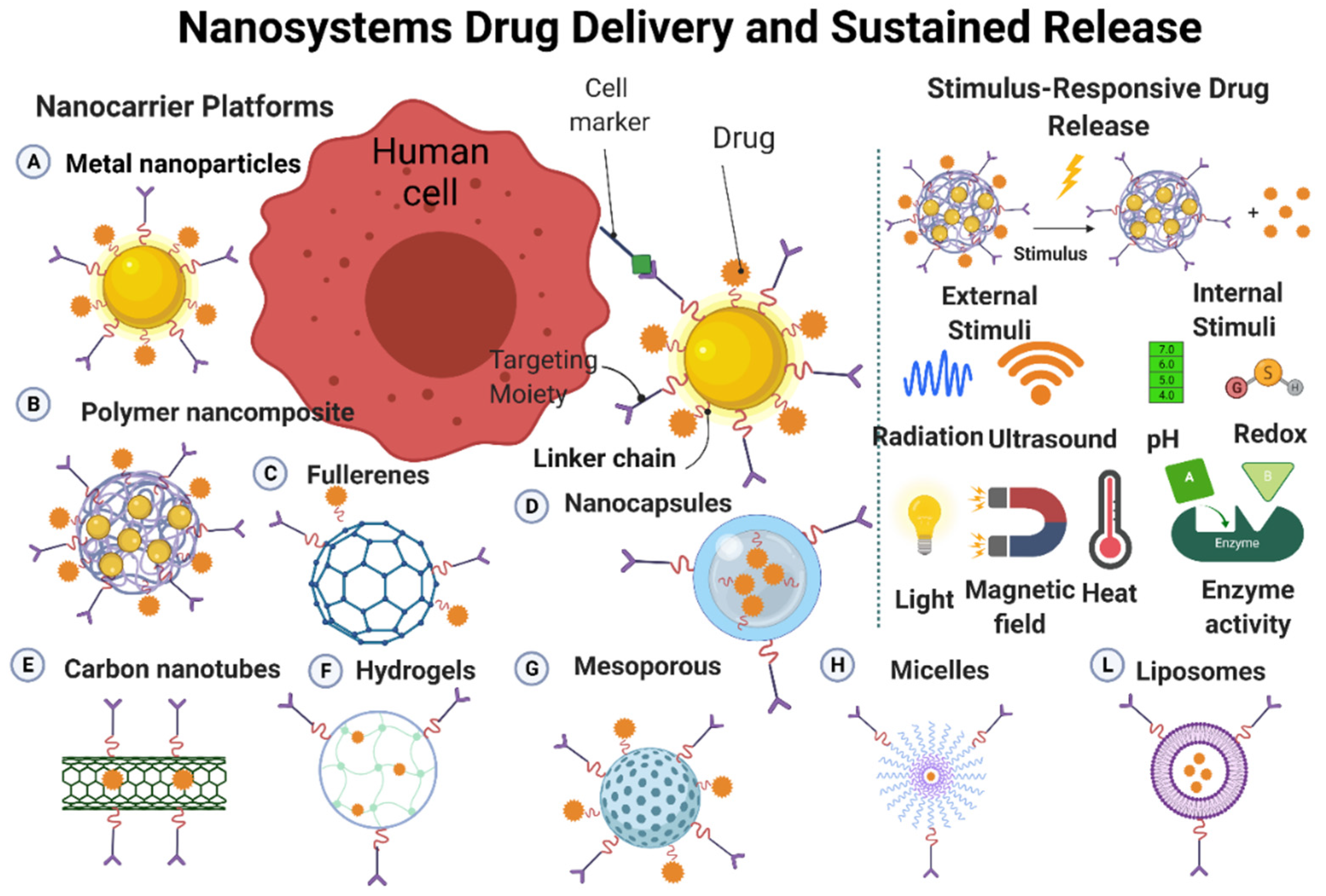 Nanomaterials 12 00457 g005 550