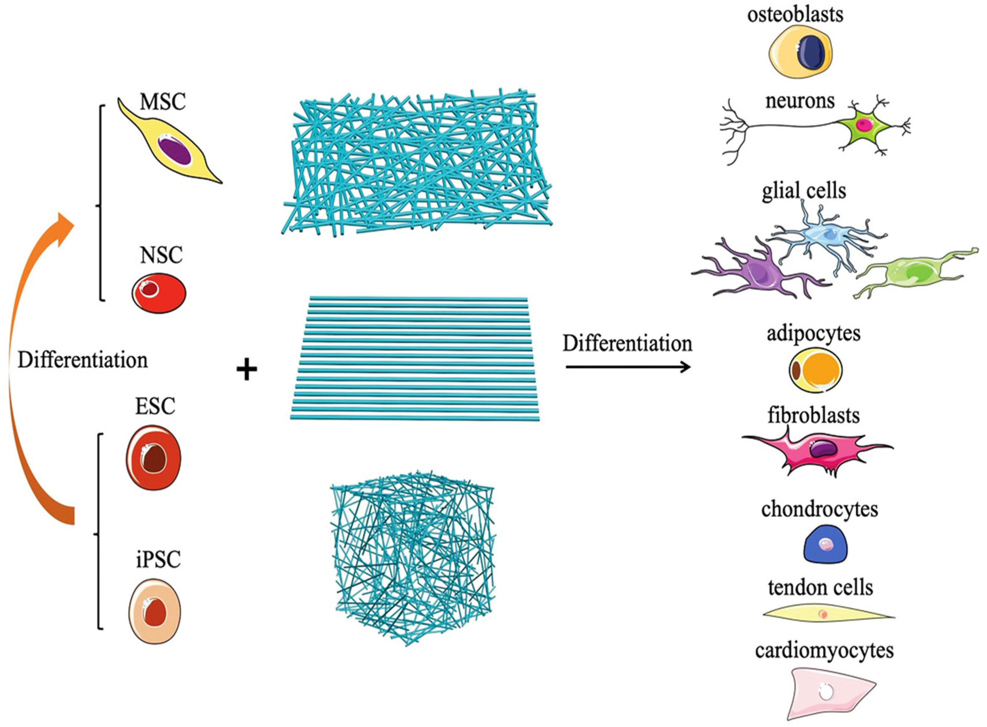 Nanomaterials 12 00457 g011