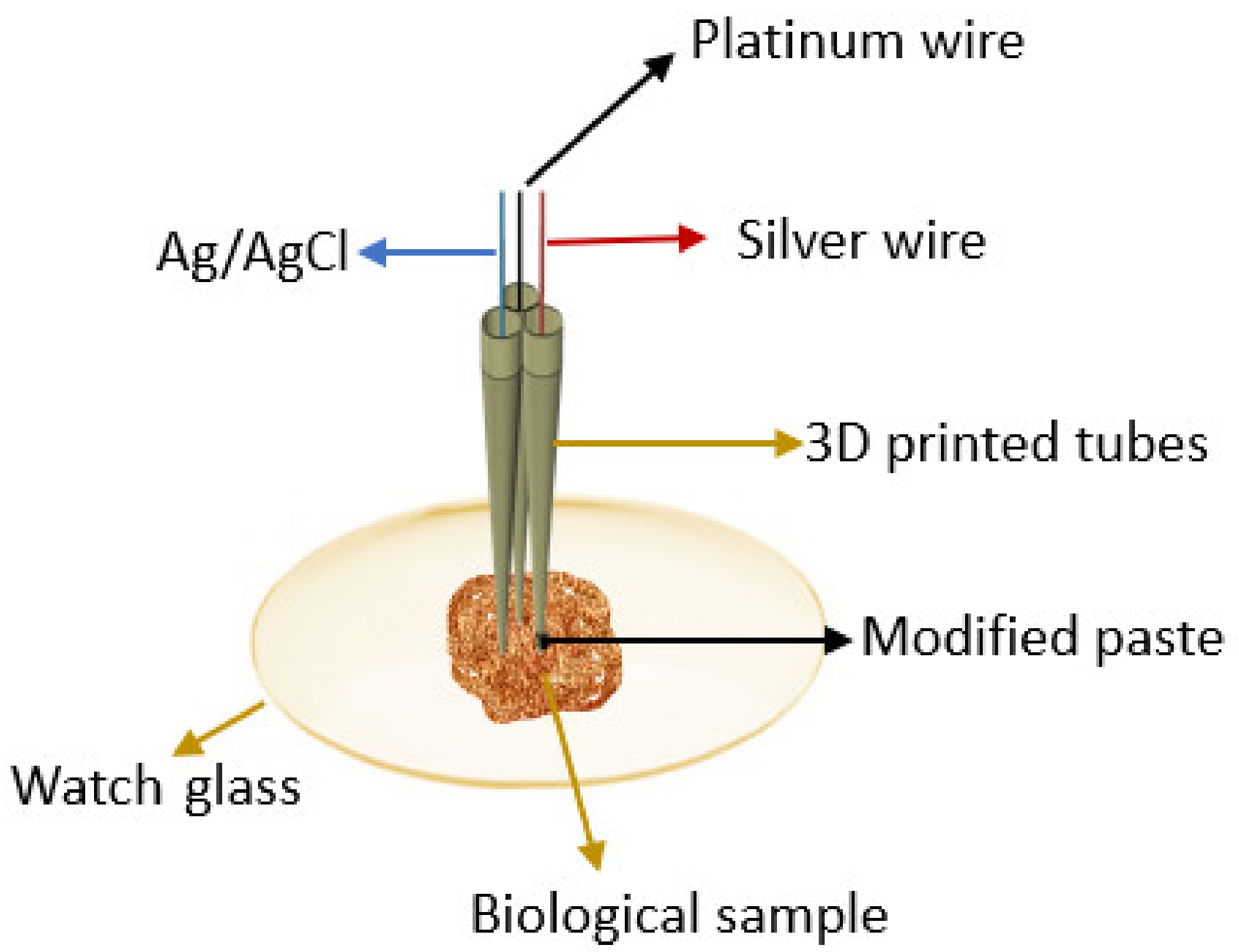 Nanomaterials 12 00460 g001