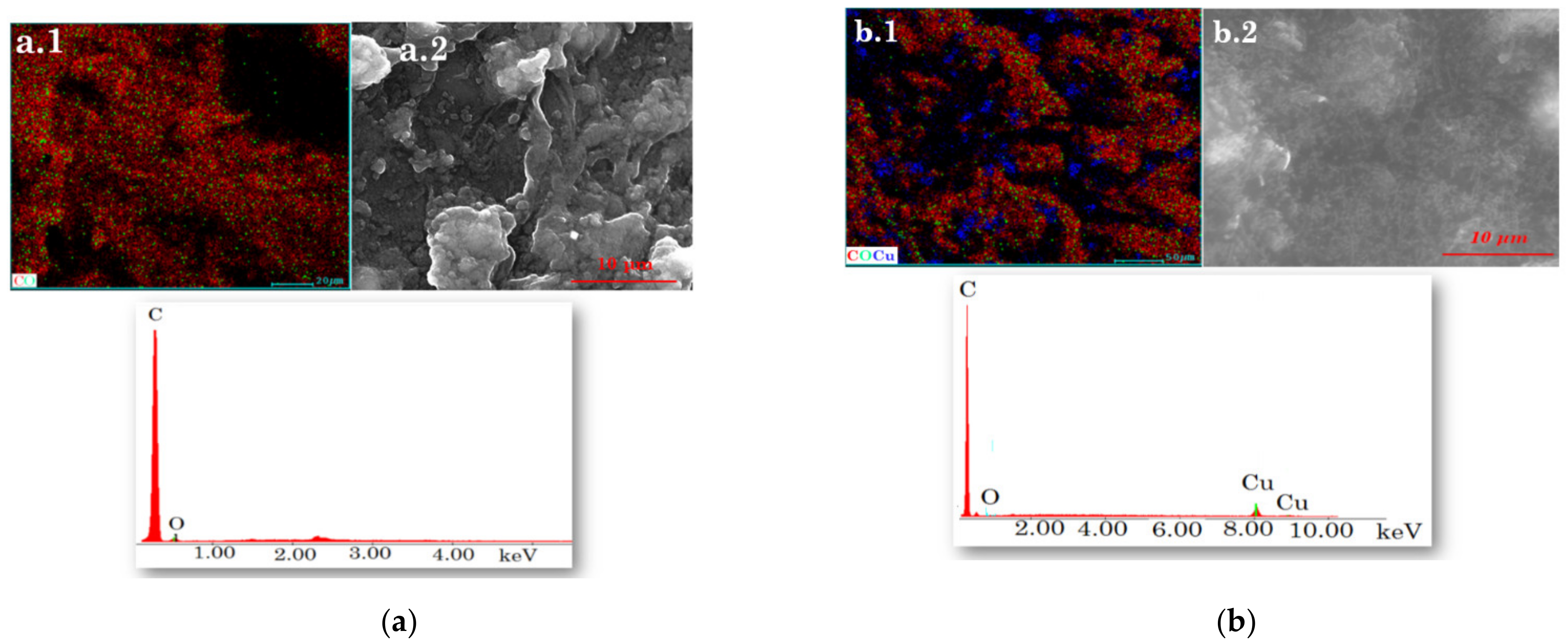 Nanomaterials 12 00460 g003