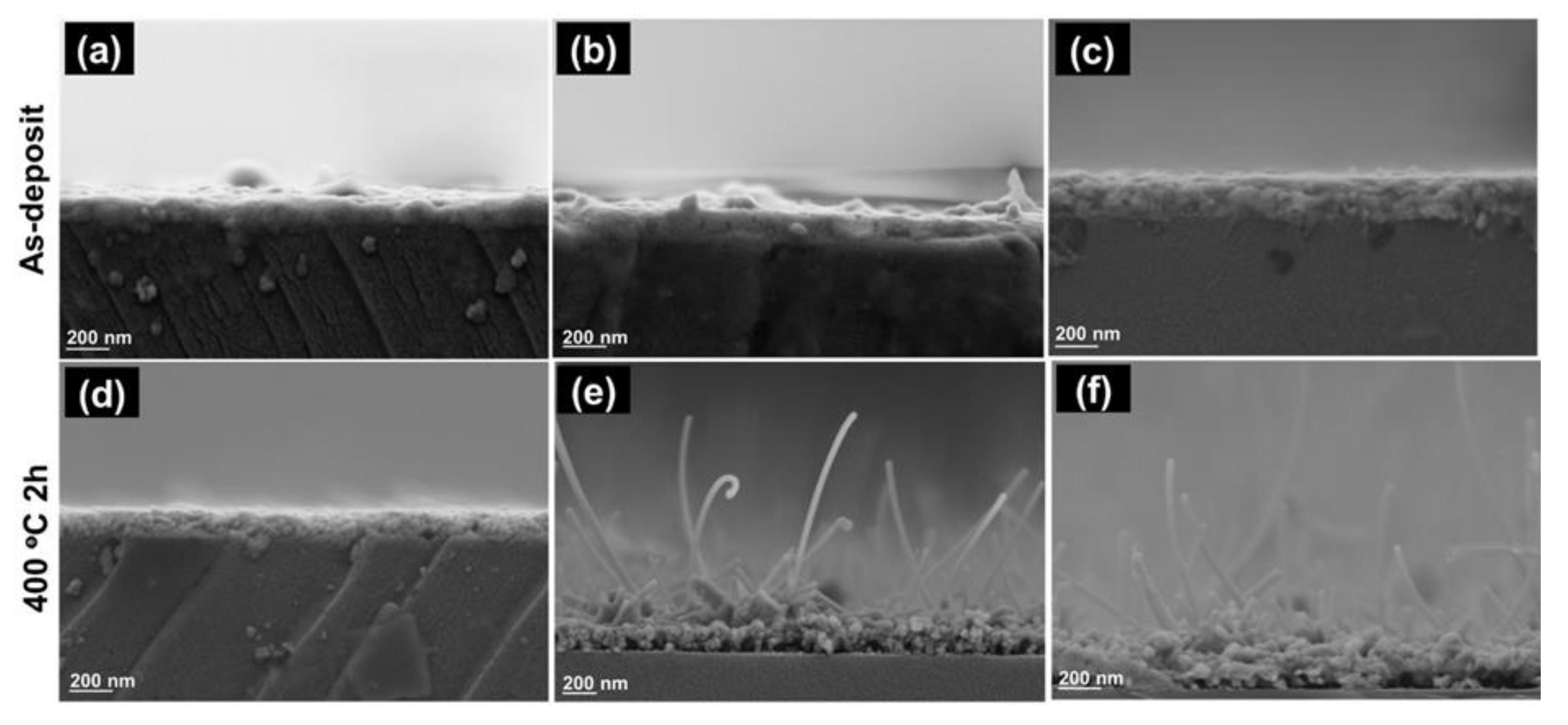 Nanomaterials 12 00463 g004