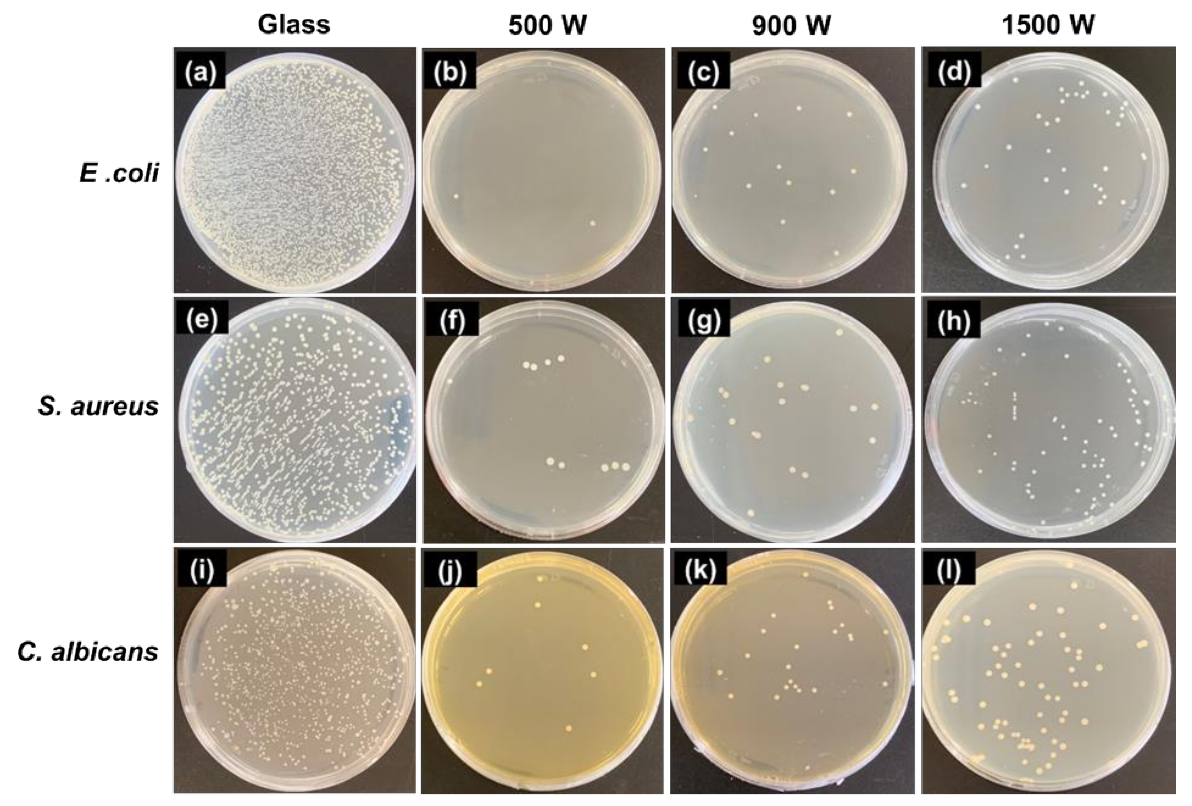 Nanomaterials 12 00463 g010