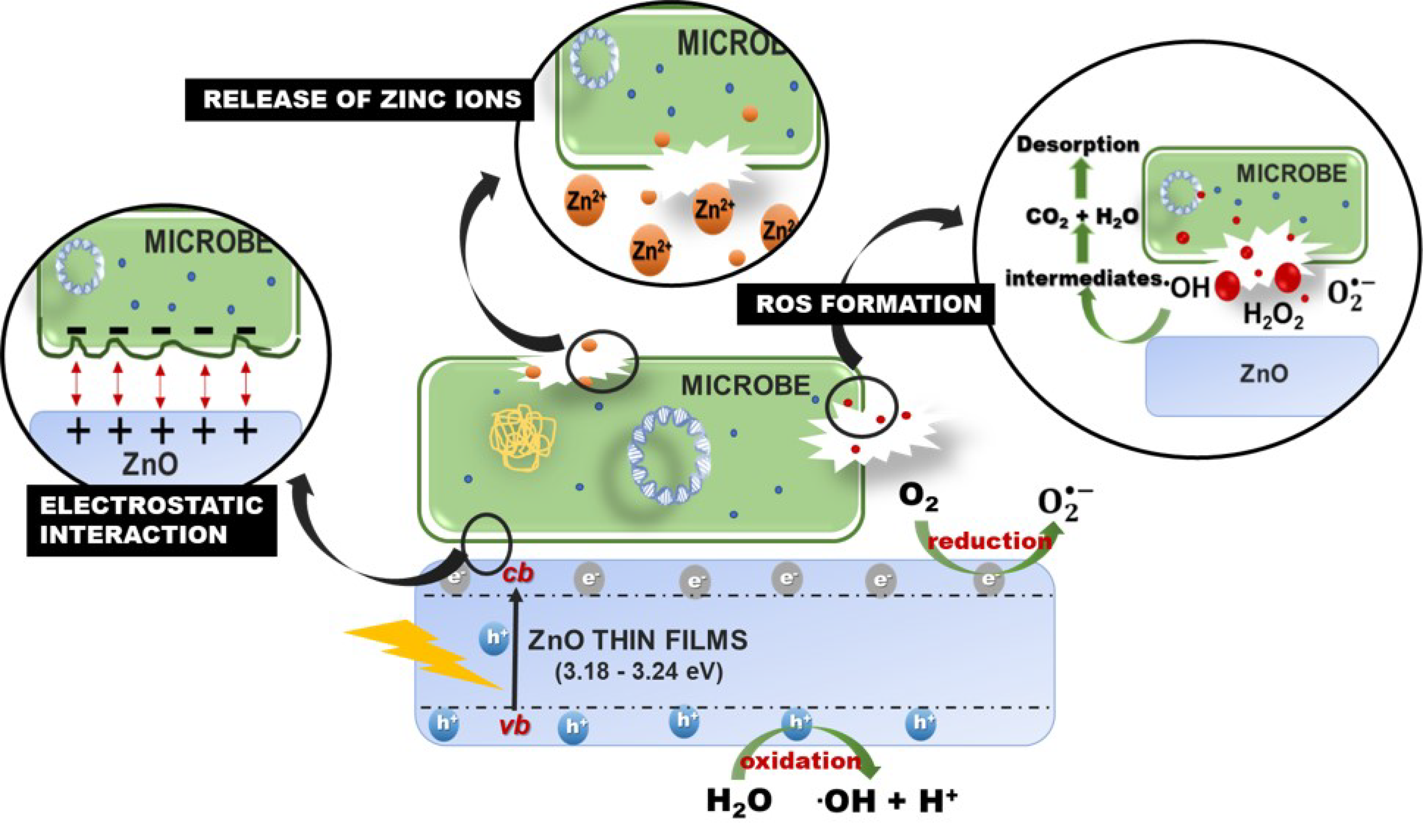 Nanomaterials 12 00463 g011