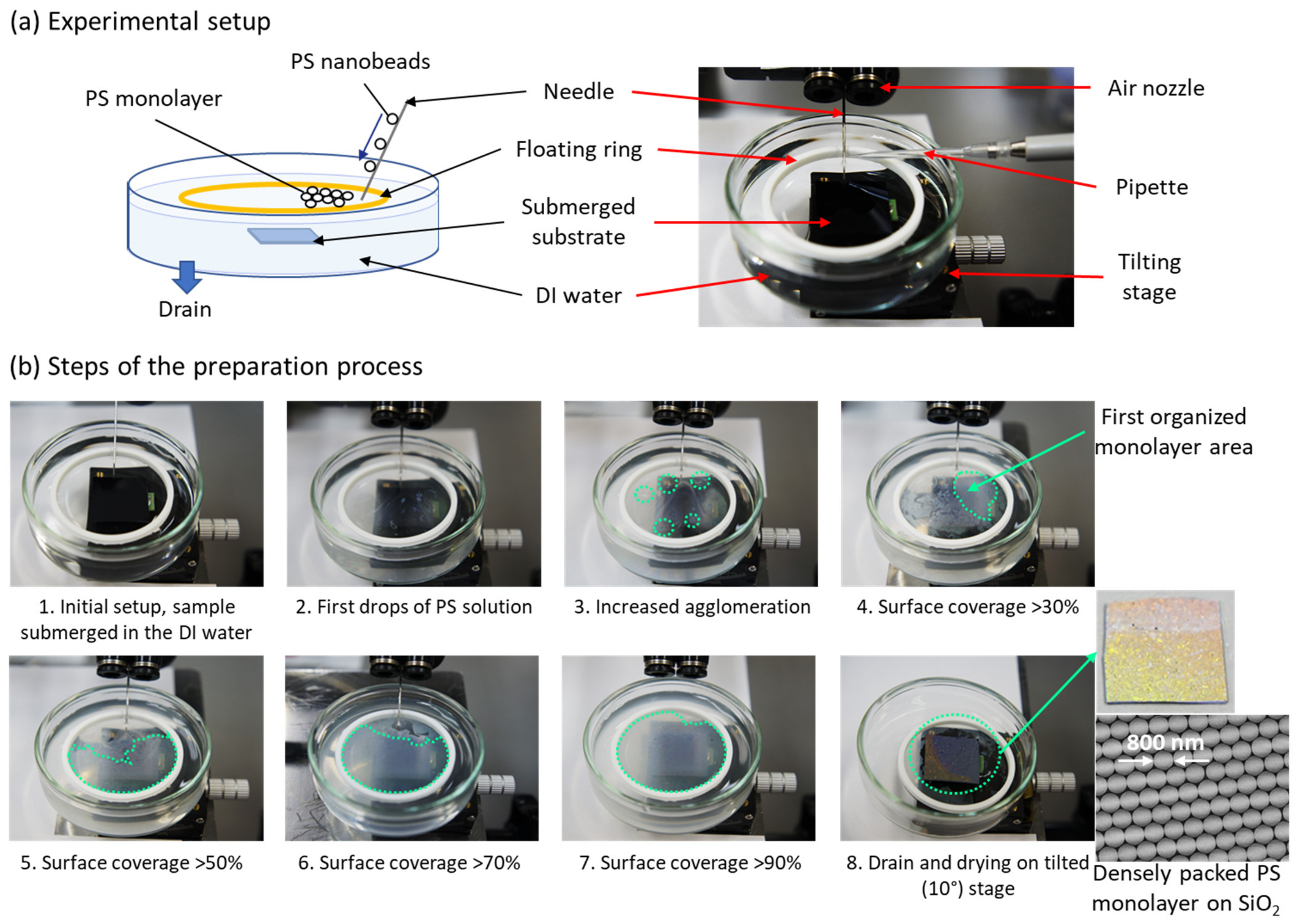 Nanomaterials 12 00464 g001