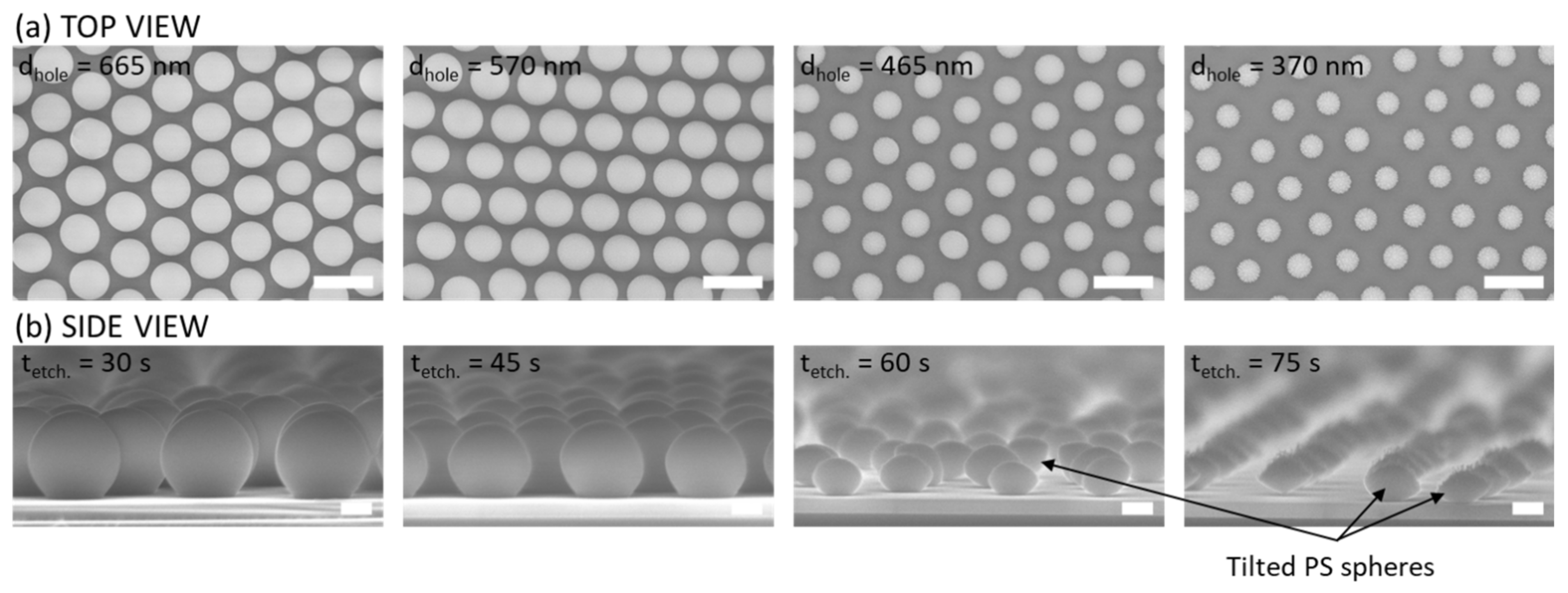 Nanomaterials 12 00464 g002