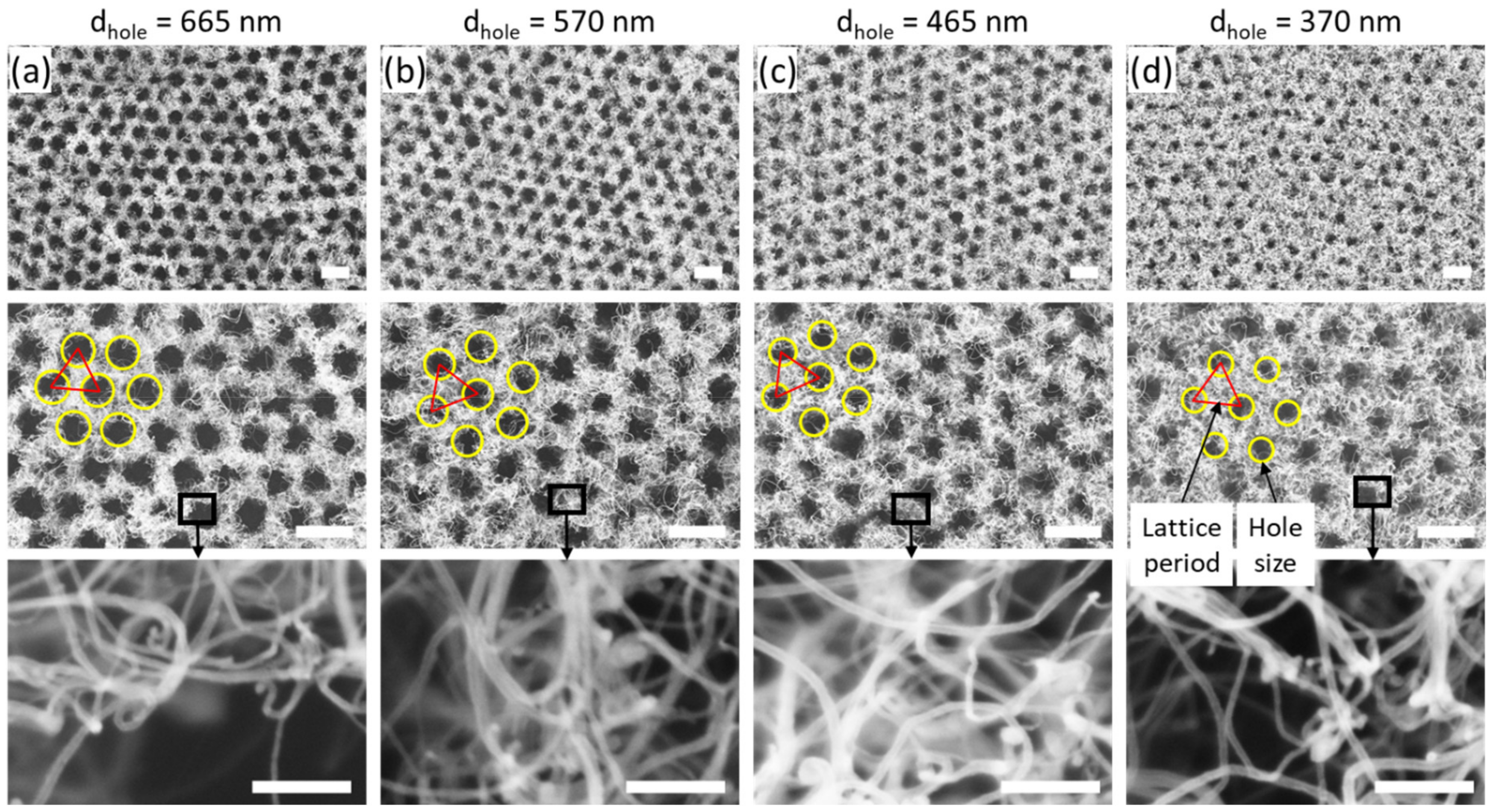 Nanomaterials 12 00464 g003
