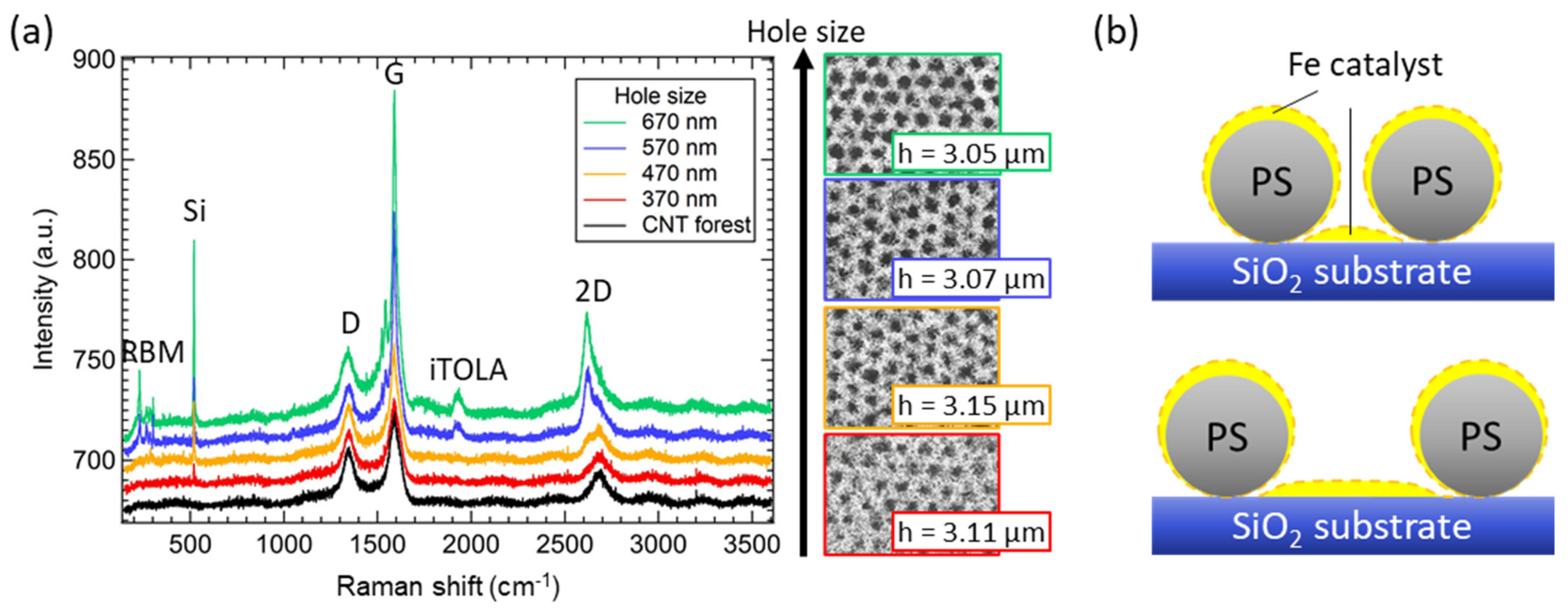 Nanomaterials 12 00464 g004