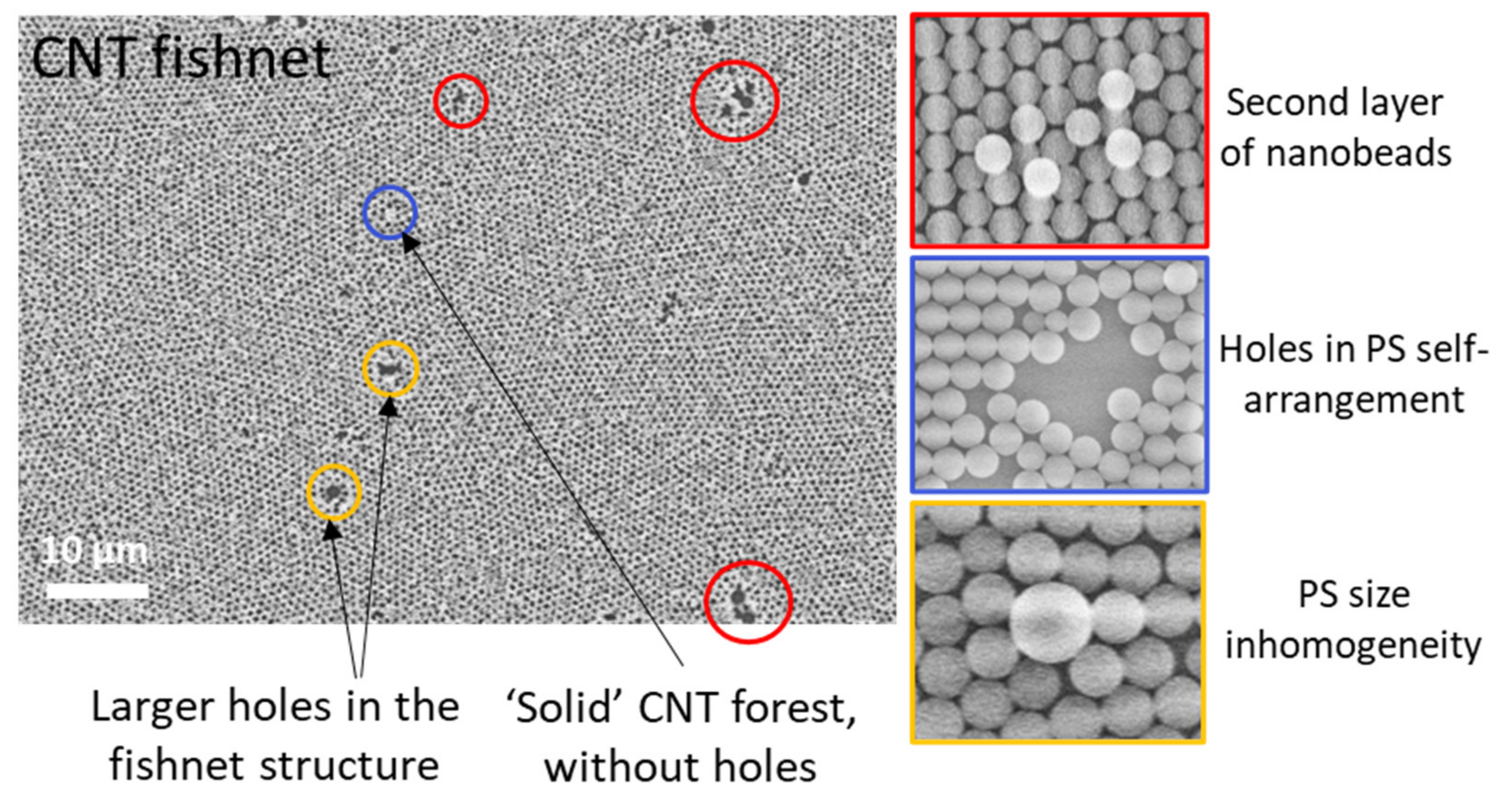 Nanomaterials 12 00464 g0a1