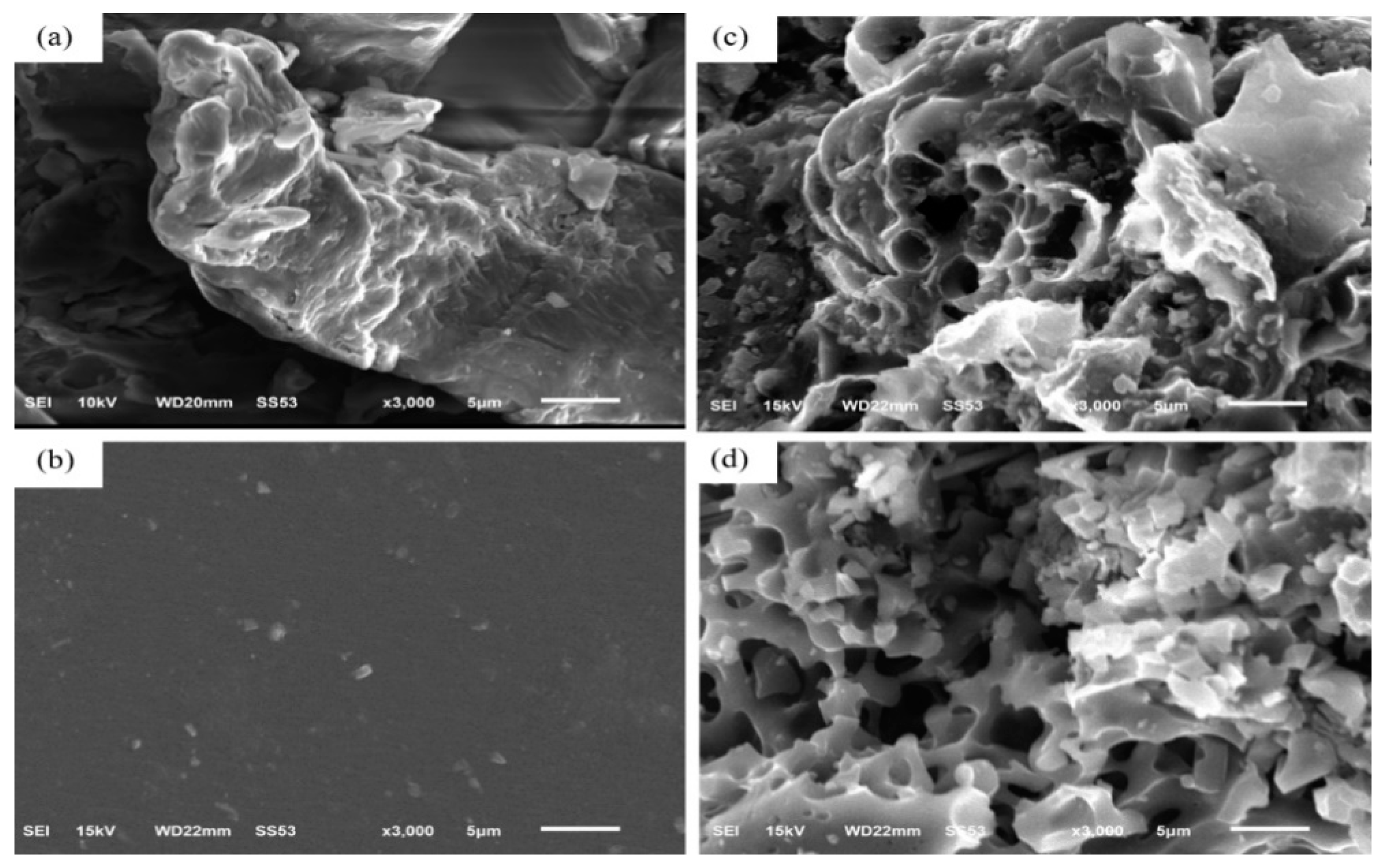 Nanomaterials 12 00469 g002 550