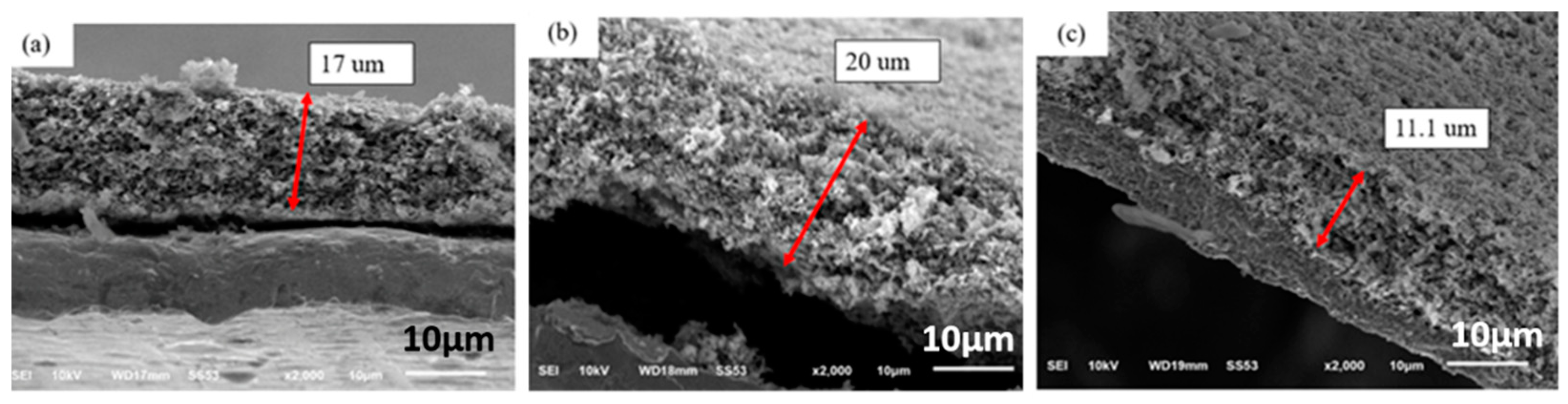 Nanomaterials 12 00469 g003 550
