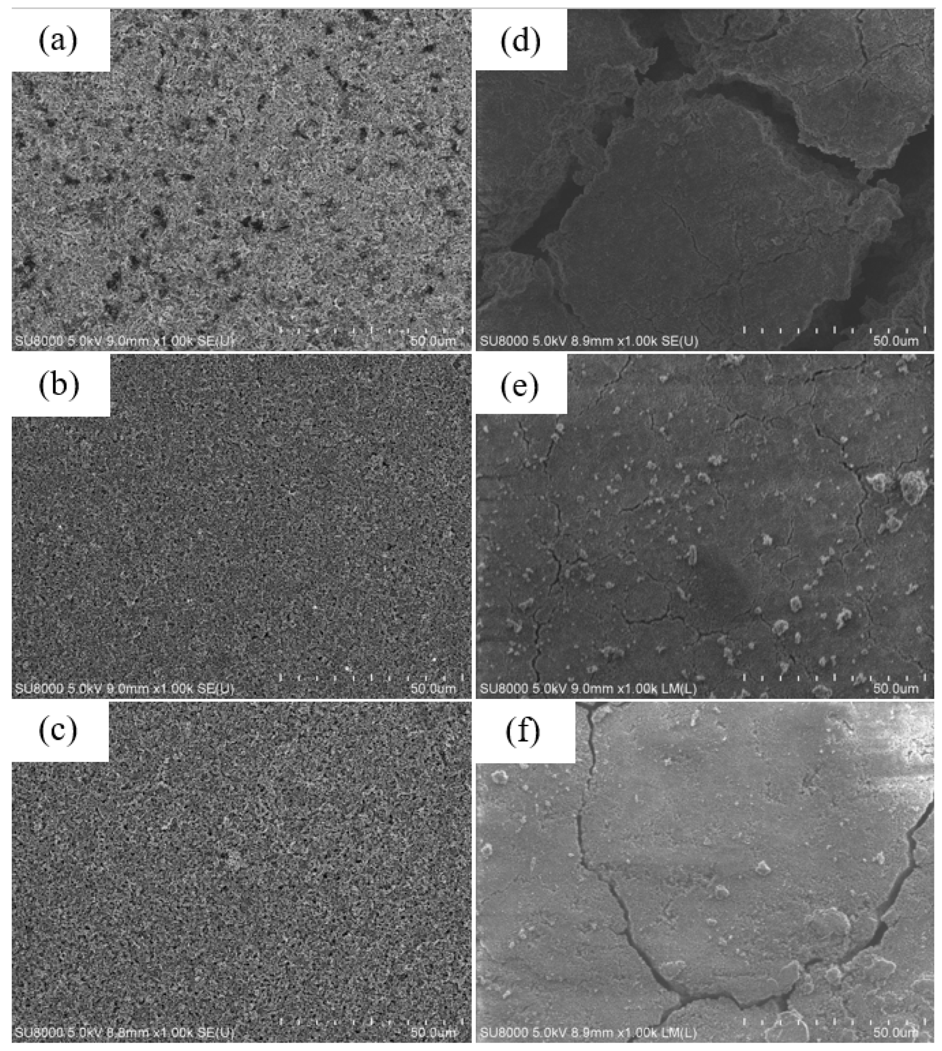 Nanomaterials 12 00469 g014 550