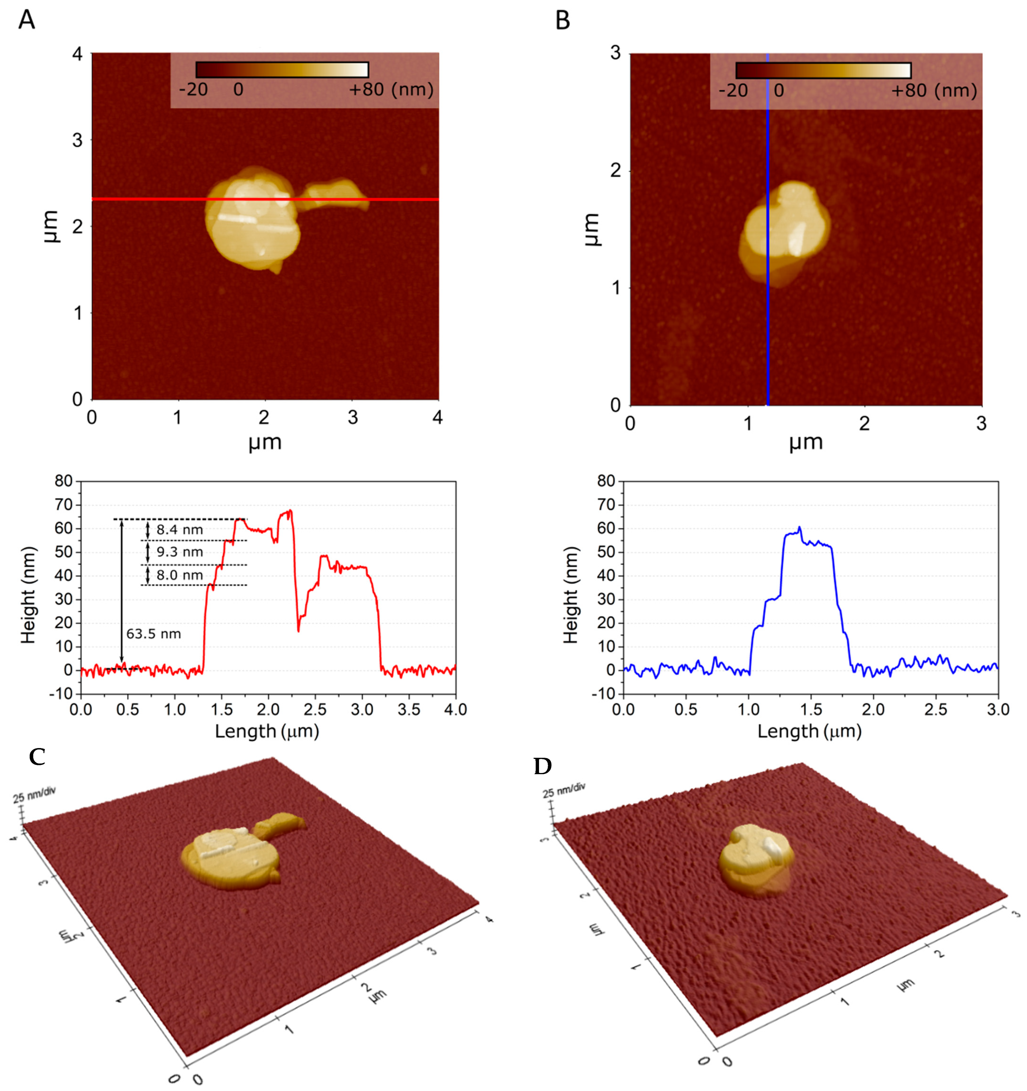 Nanomaterials 12 00473 g005