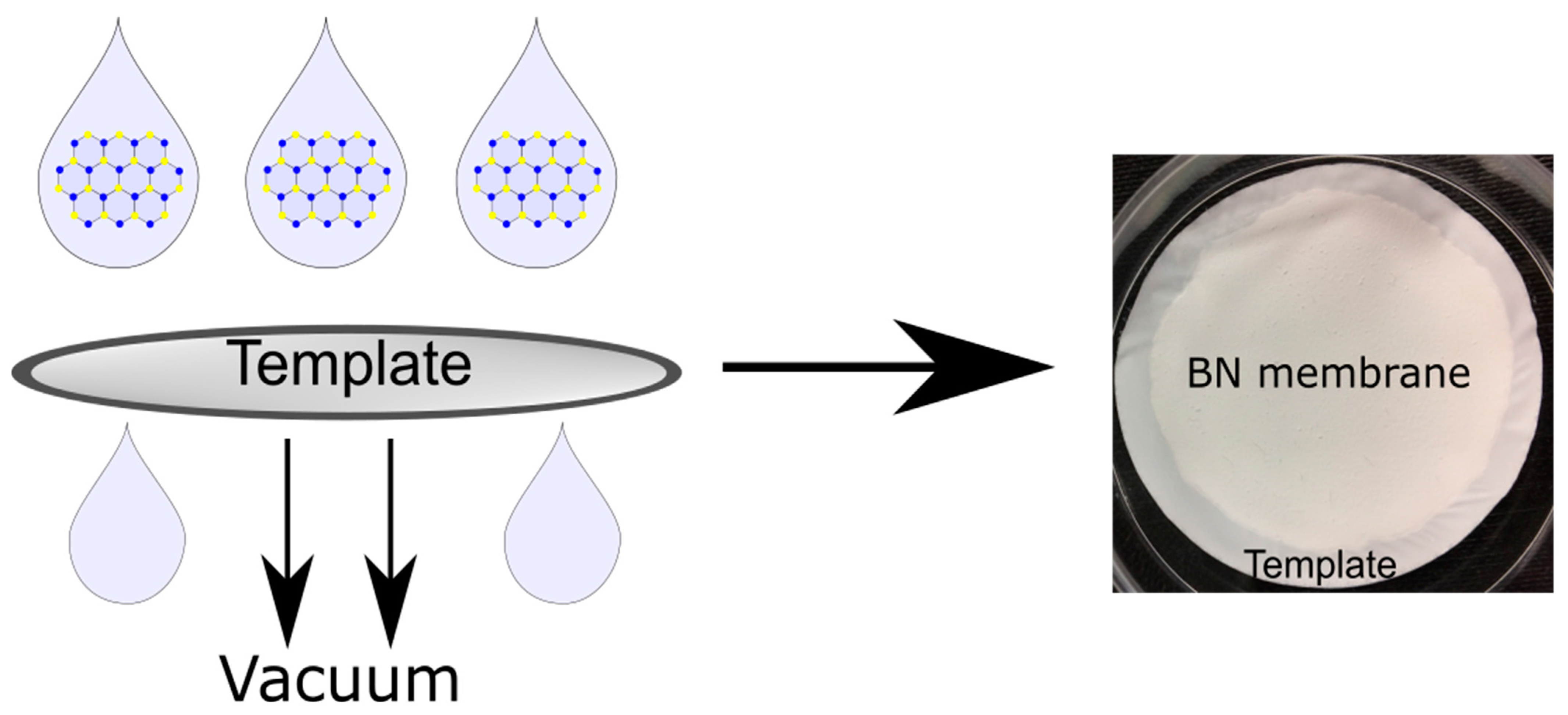 Nanomaterials 12 00473 g006