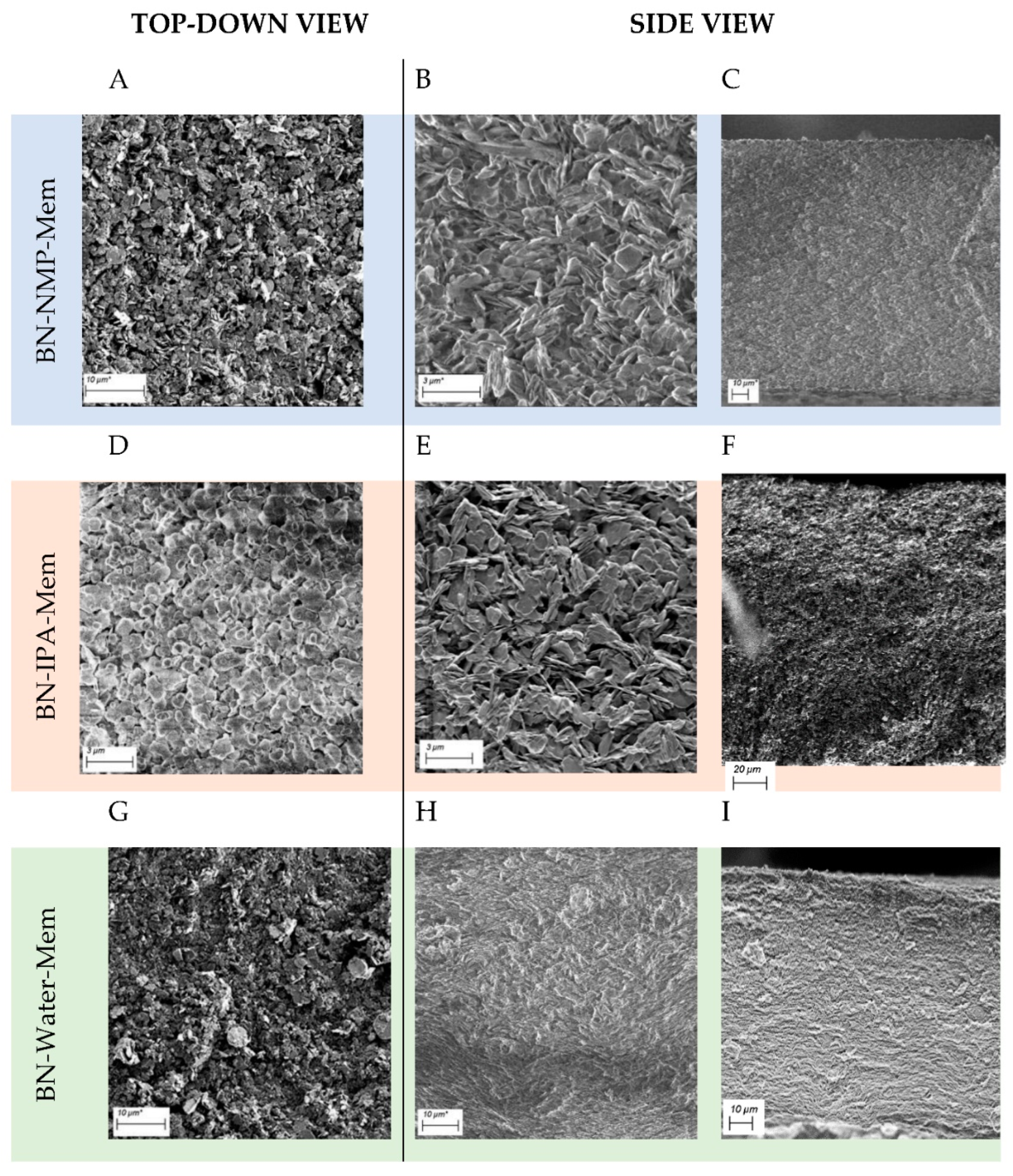 Nanomaterials 12 00473 g007