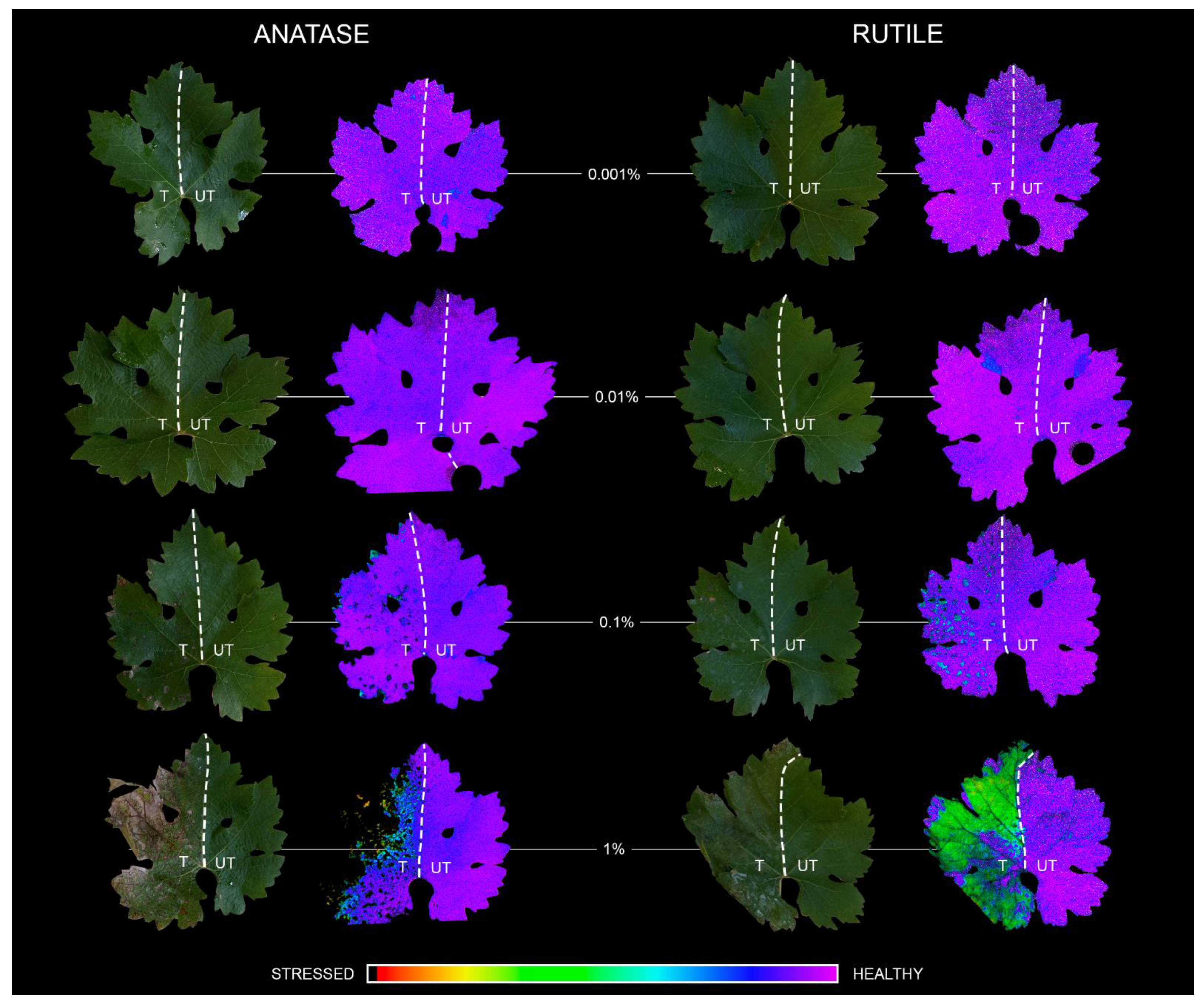 Nanomaterials 12 00483 g004