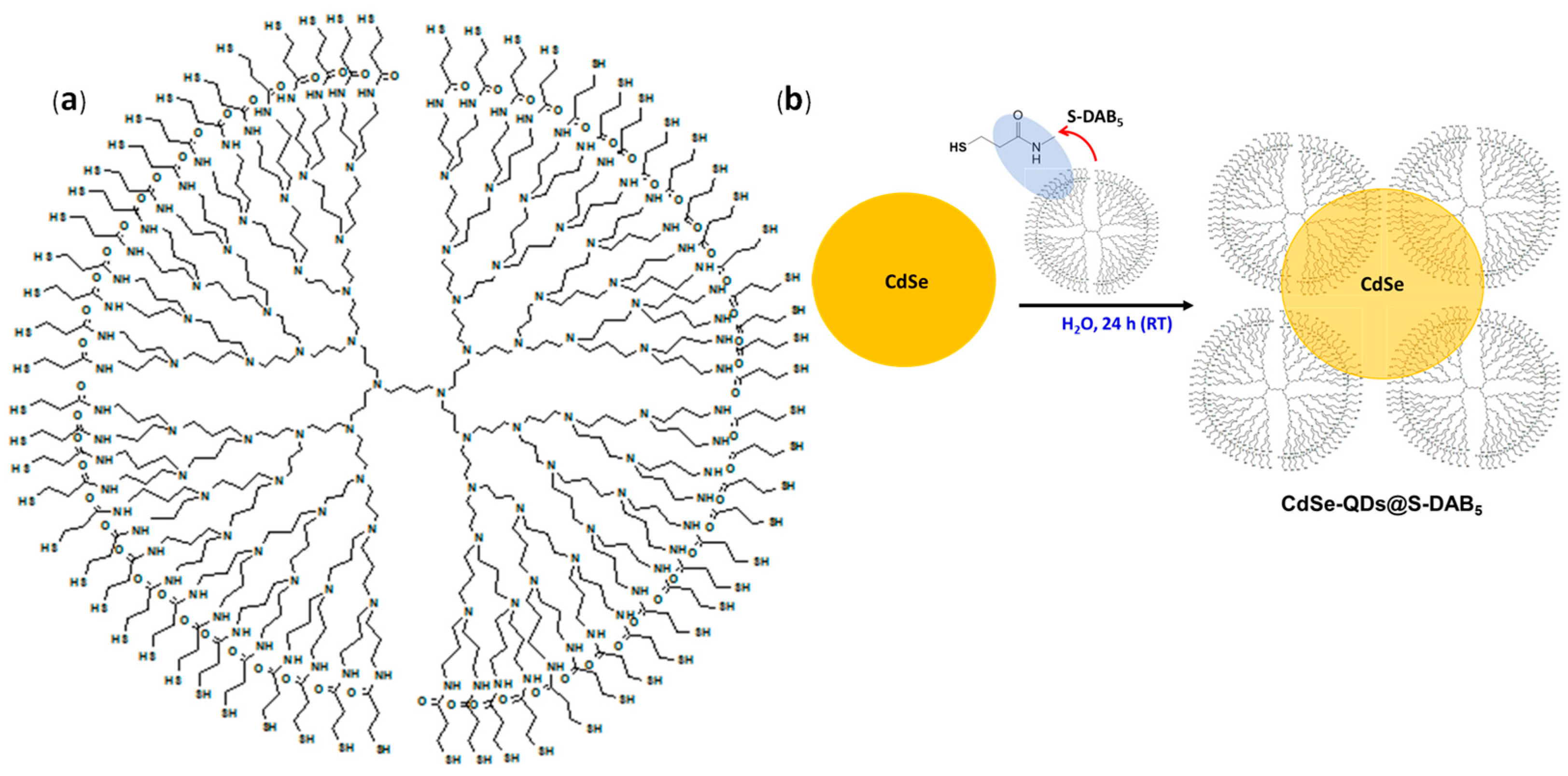 Nanomaterials 12 00484 g001 550
