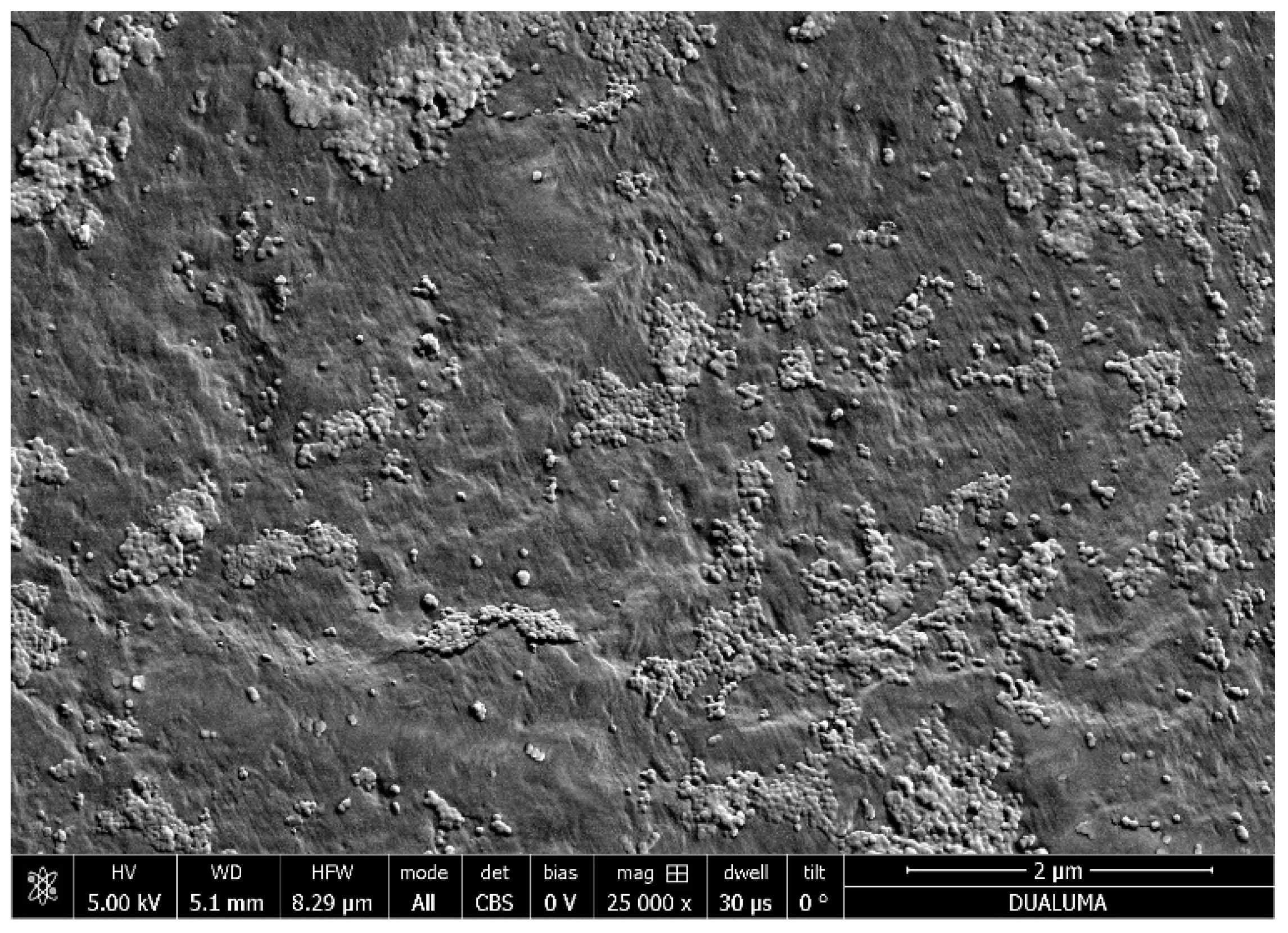 Nanomaterials 12 00484 g004 550