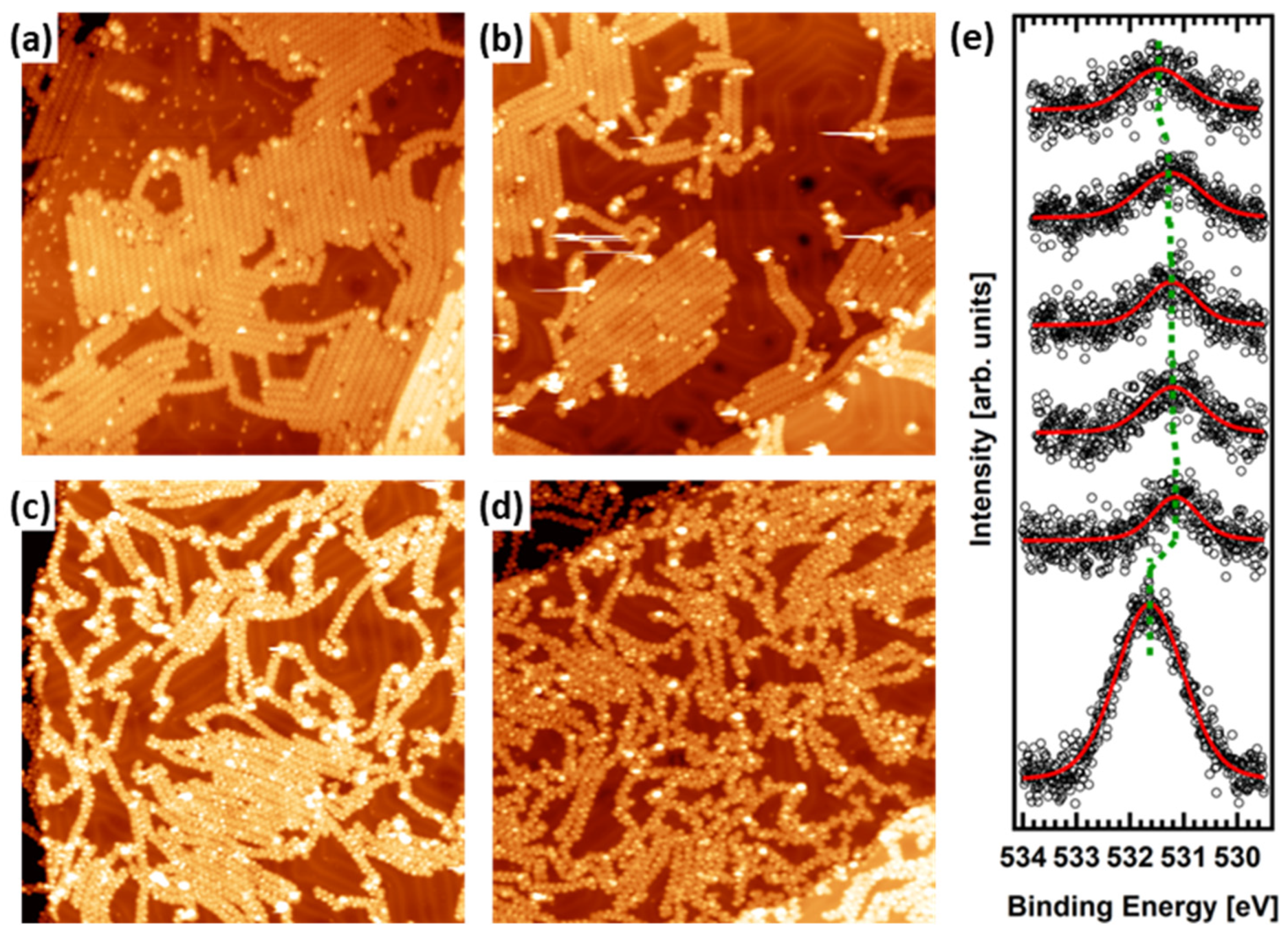 Nanomaterials 12 00488 g002