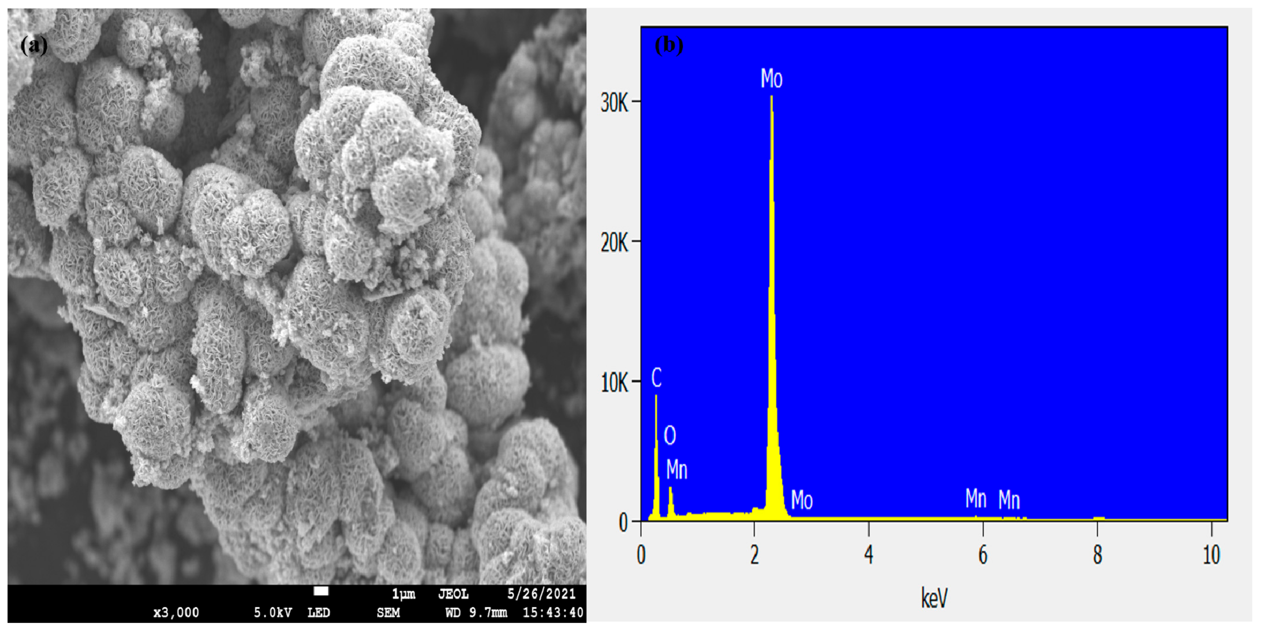 Nanomaterials 12 00490 g001 550
